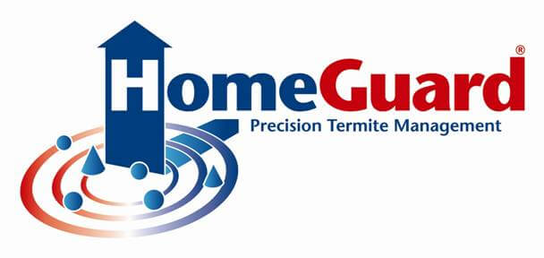 Precision Termite Management