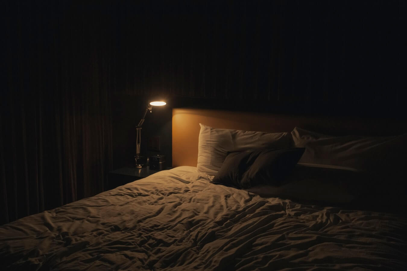 Bed Bugs Facts & Threats They Bring To The Residents In Sydney