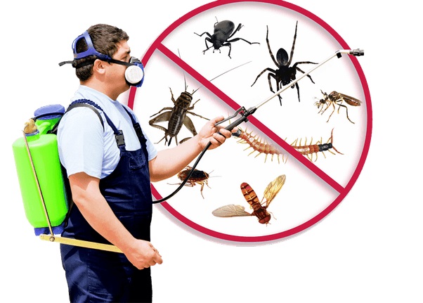 Sydney Wide Pest Control - Environmental Pest Control