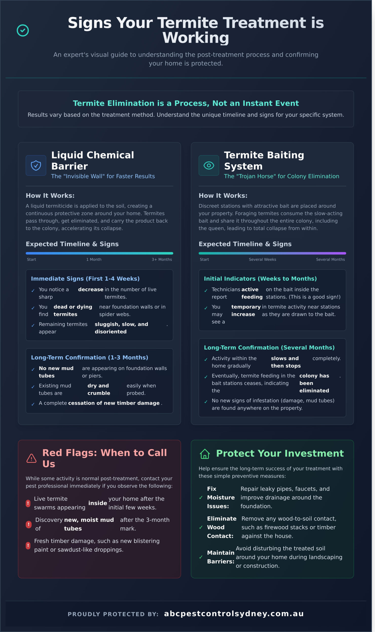 7 Clear Signs Your Termite Treatment is Working - Infographic