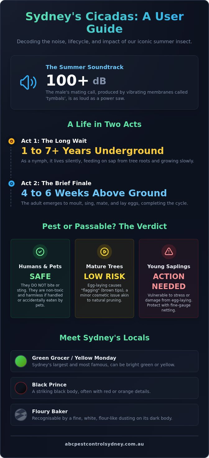 Cicadas in Sydney: Understanding the Summer Buzz (And If You Need to Worry) - Infographic