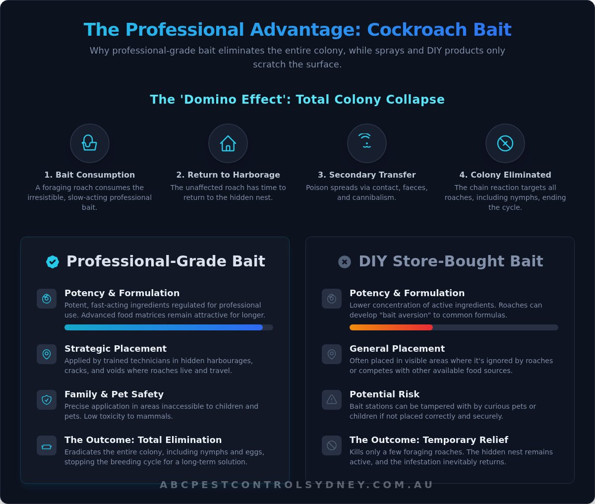 Cockroach Bait: The Ultimate Guide to Eliminating Infestations - Infographic