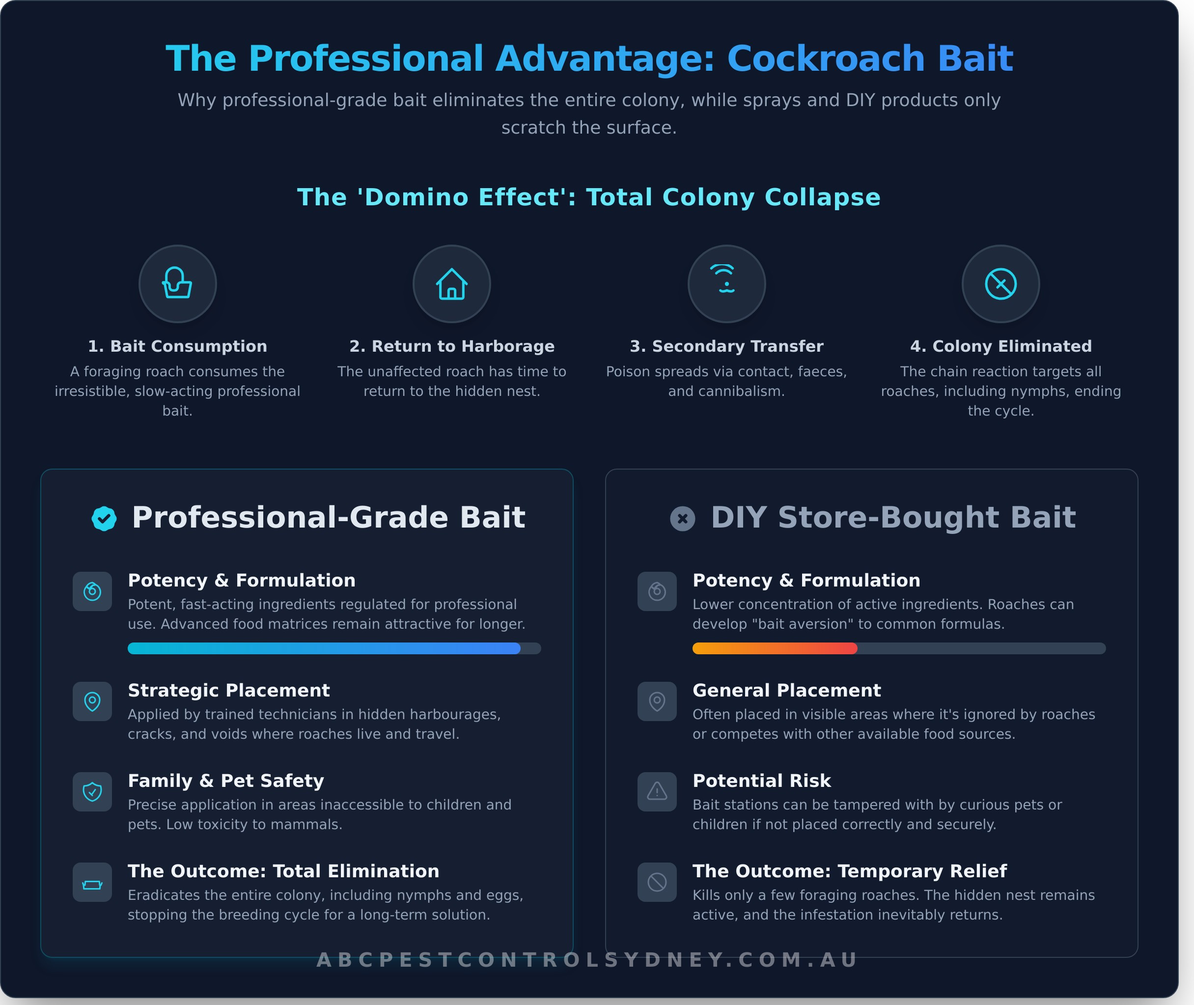 Cockroach Bait: The Ultimate Guide to Eliminating Infestations - Infographic