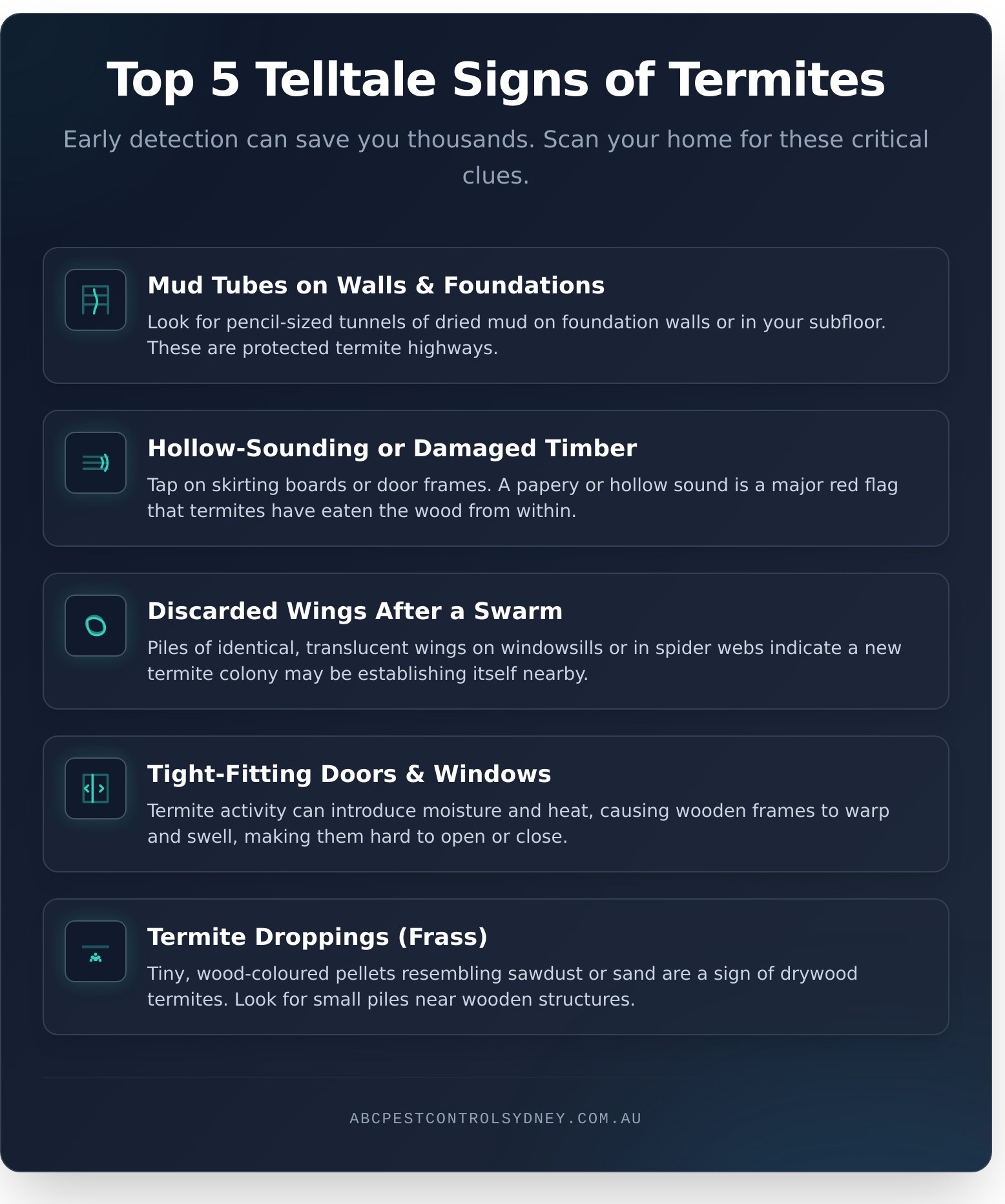 Early Signs of Termites You Can’t Afford to Miss - Infographic