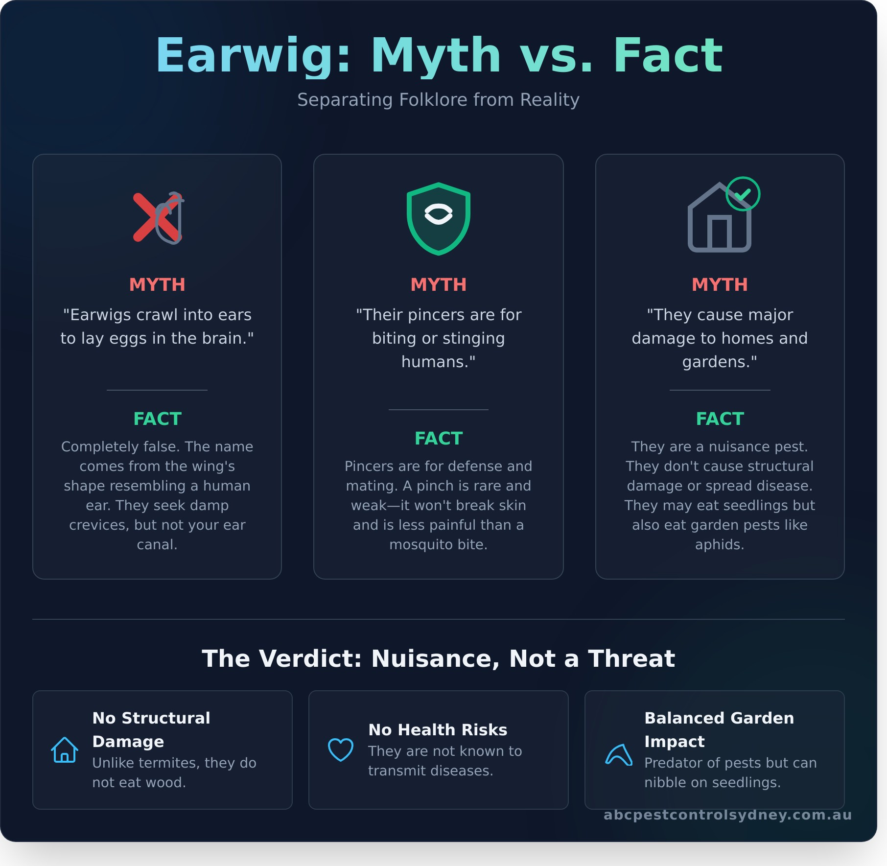 Earwigs in Your Home? A Complete Guide to Identification & Removal - Infographic