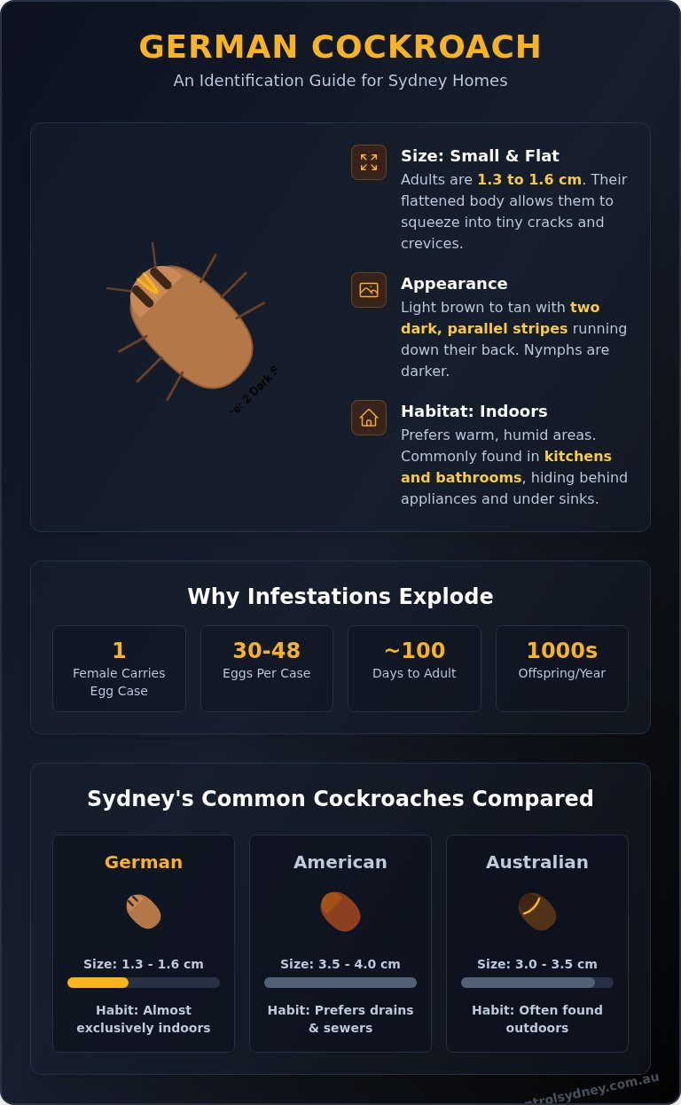 German Cockroaches: Your Ultimate Identification & Fact Guide - Infographic