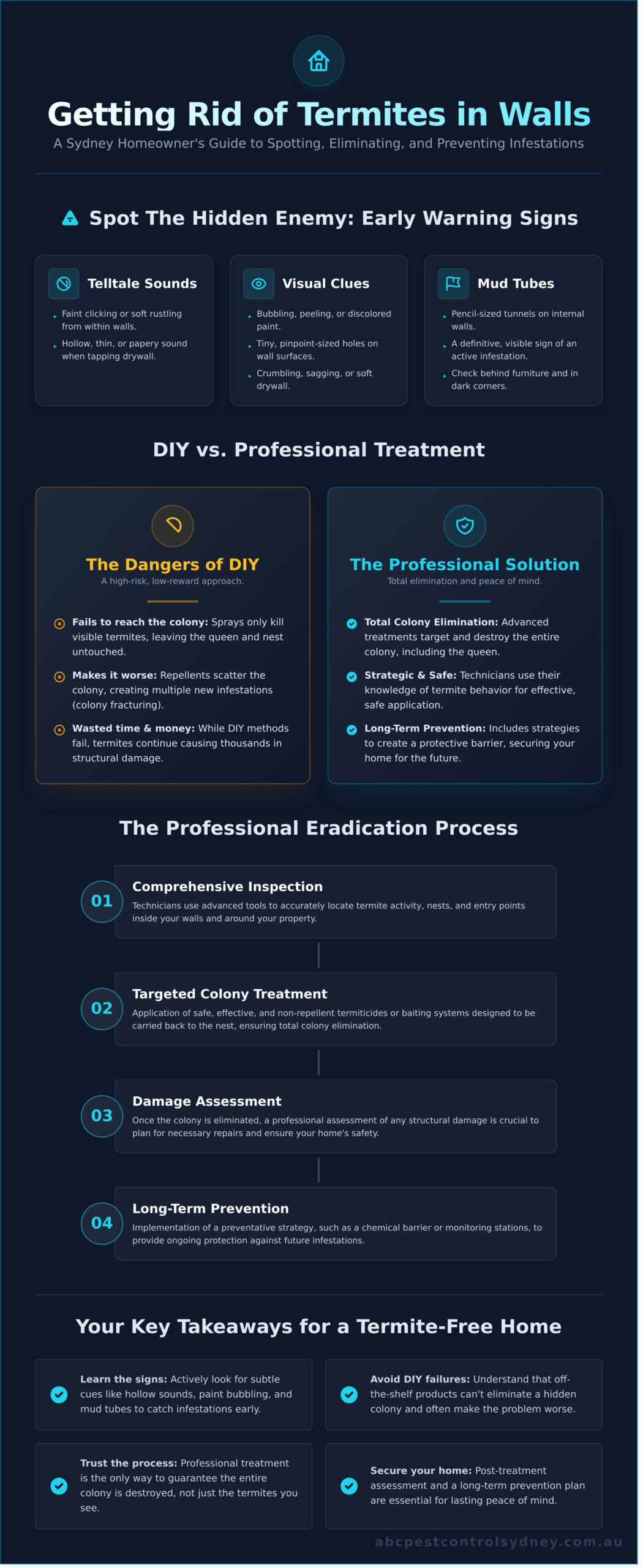 Getting Rid of Termites in Walls: A Sydney Homeowner’s Guide - Infographic