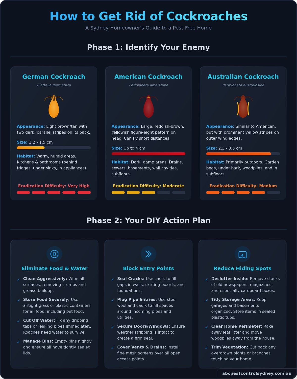 How to Get Rid of Cockroaches For Good: A Sydney Pro’s Guide - Infographic