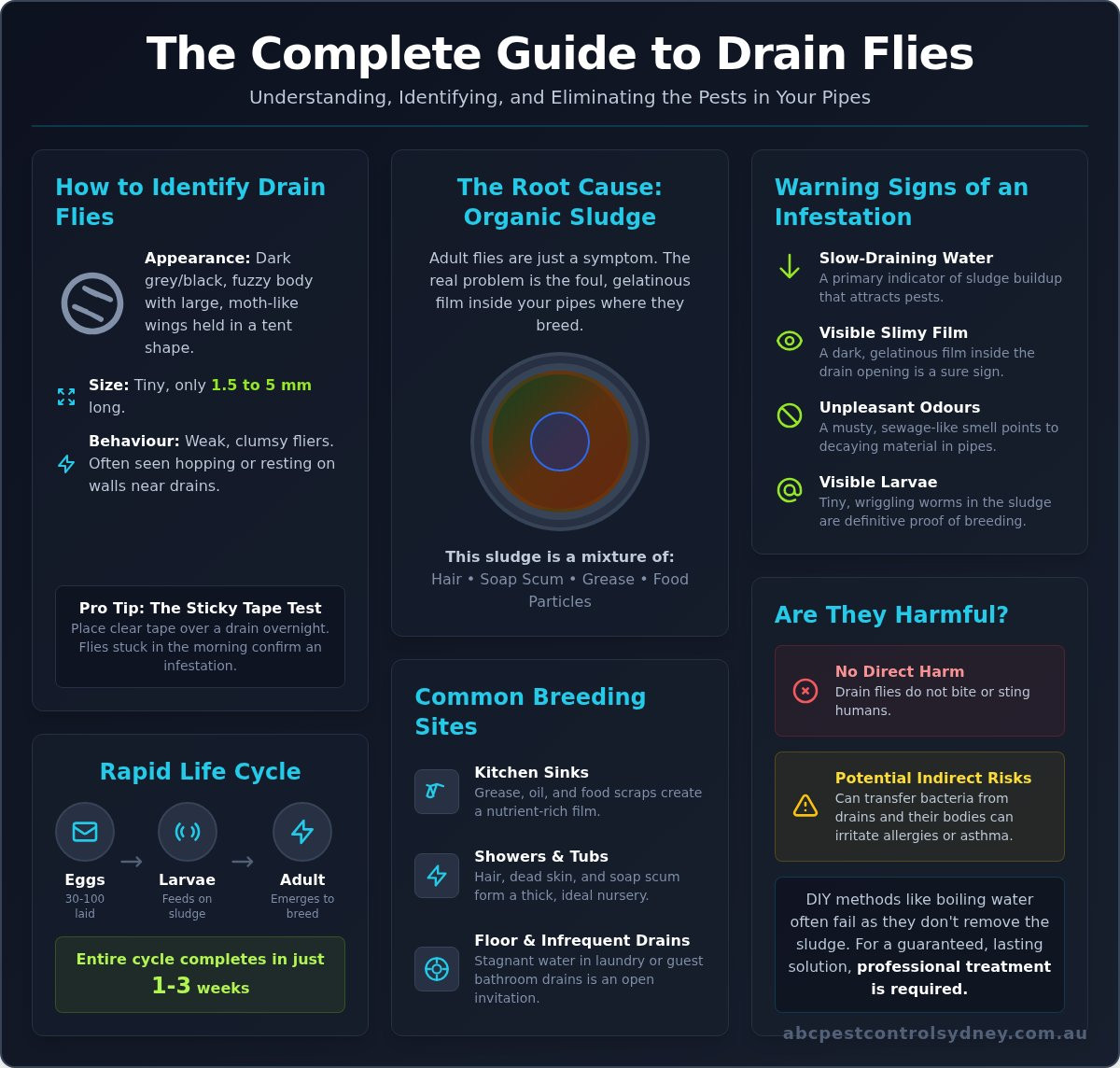 How to Get Rid of Drain Flies in Sydney: A Complete Guide - Infographic
