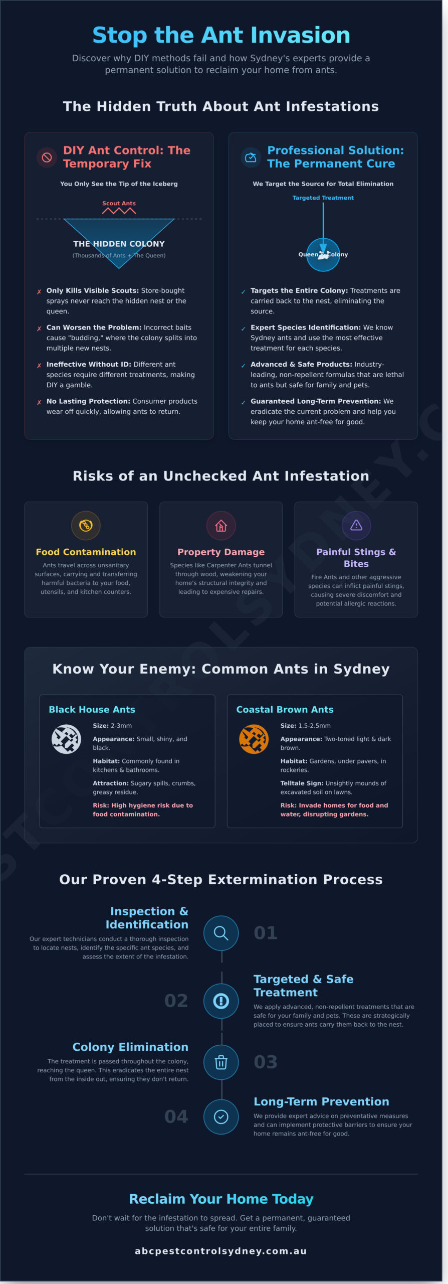 Professional Ant Exterminator Sydney: Guaranteed Ant Removal - Infographic