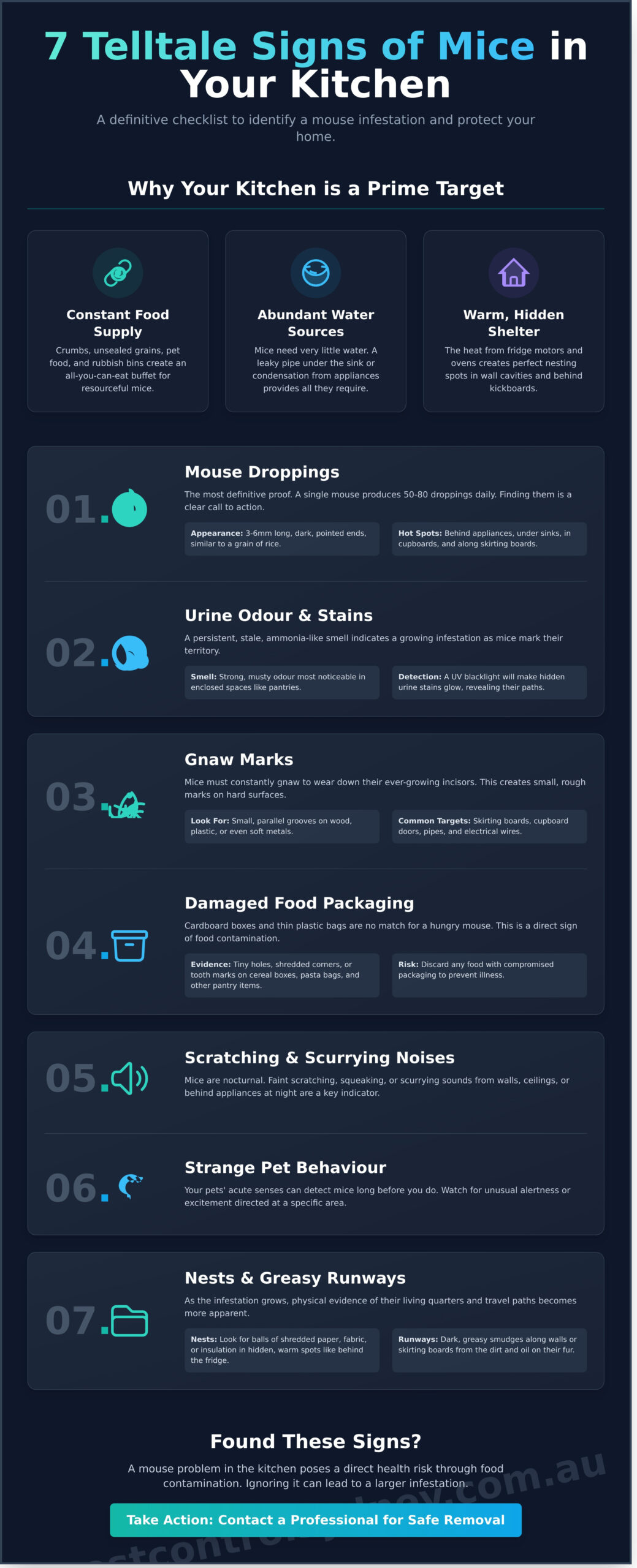 Signs of Mice in the Kitchen: 7 Telltale Clues You Can’t Ignore - Infographic