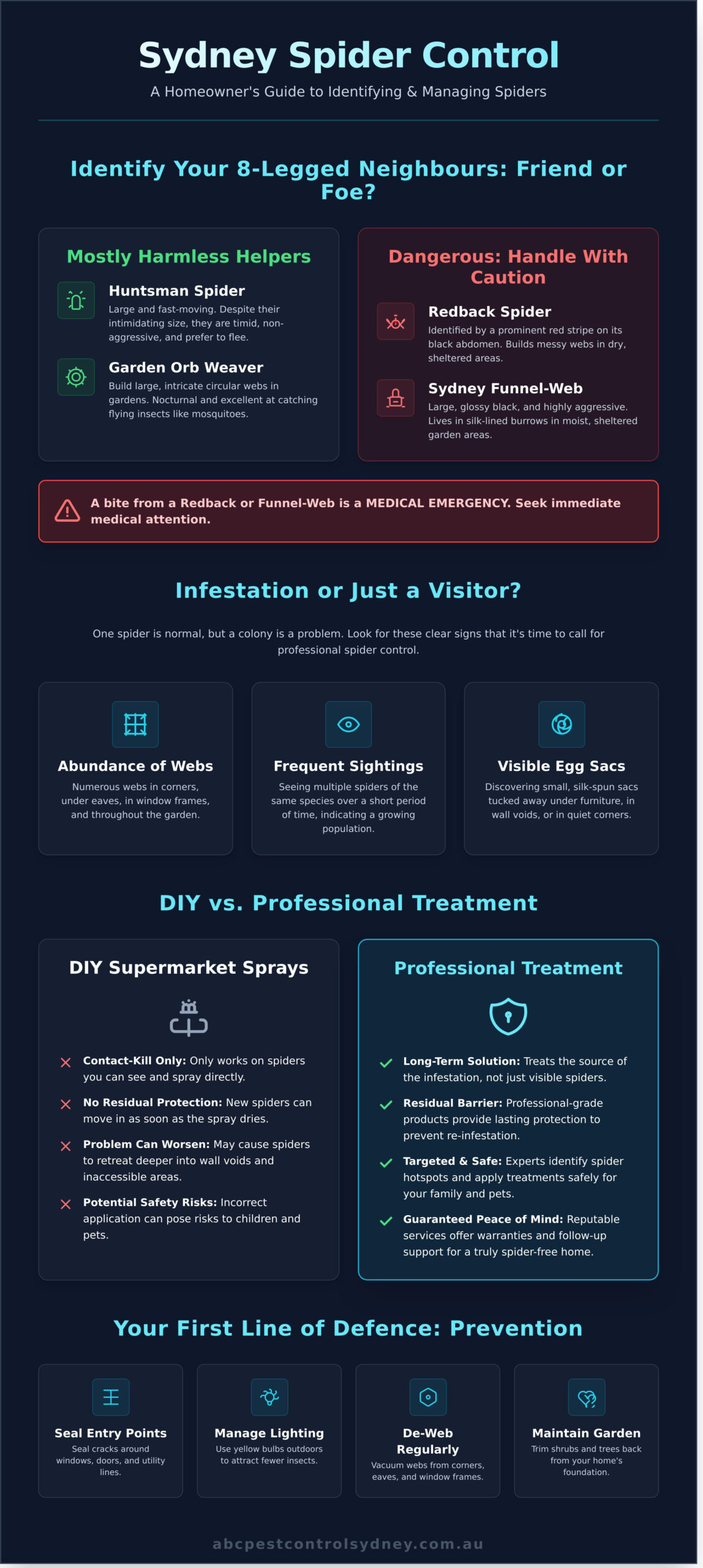 Spider Control Sydney: Your Ultimate Guide to a Spider-Free Home - Infographic
