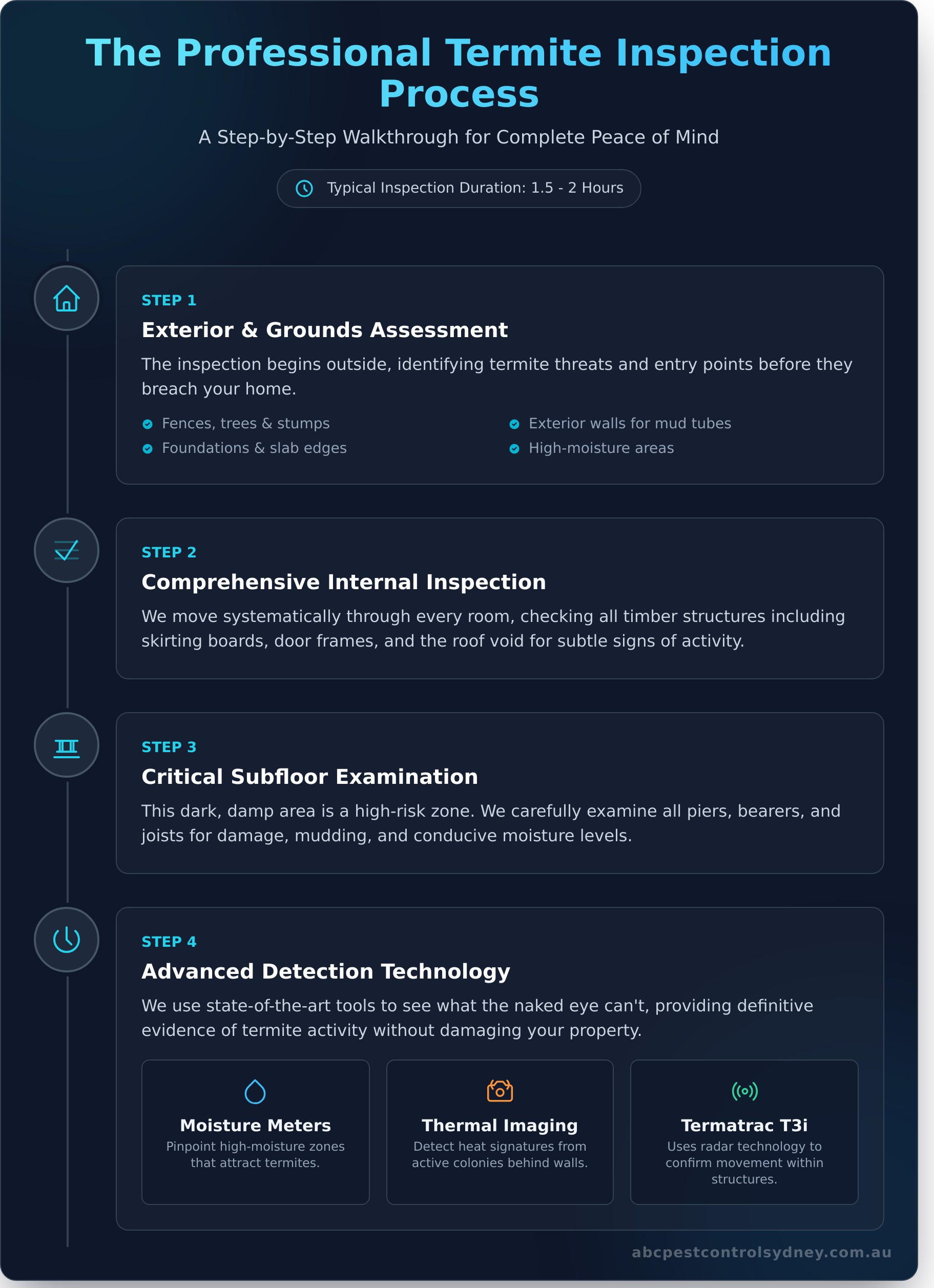 Termite Inspection Sydney: What to Expect - Infographic