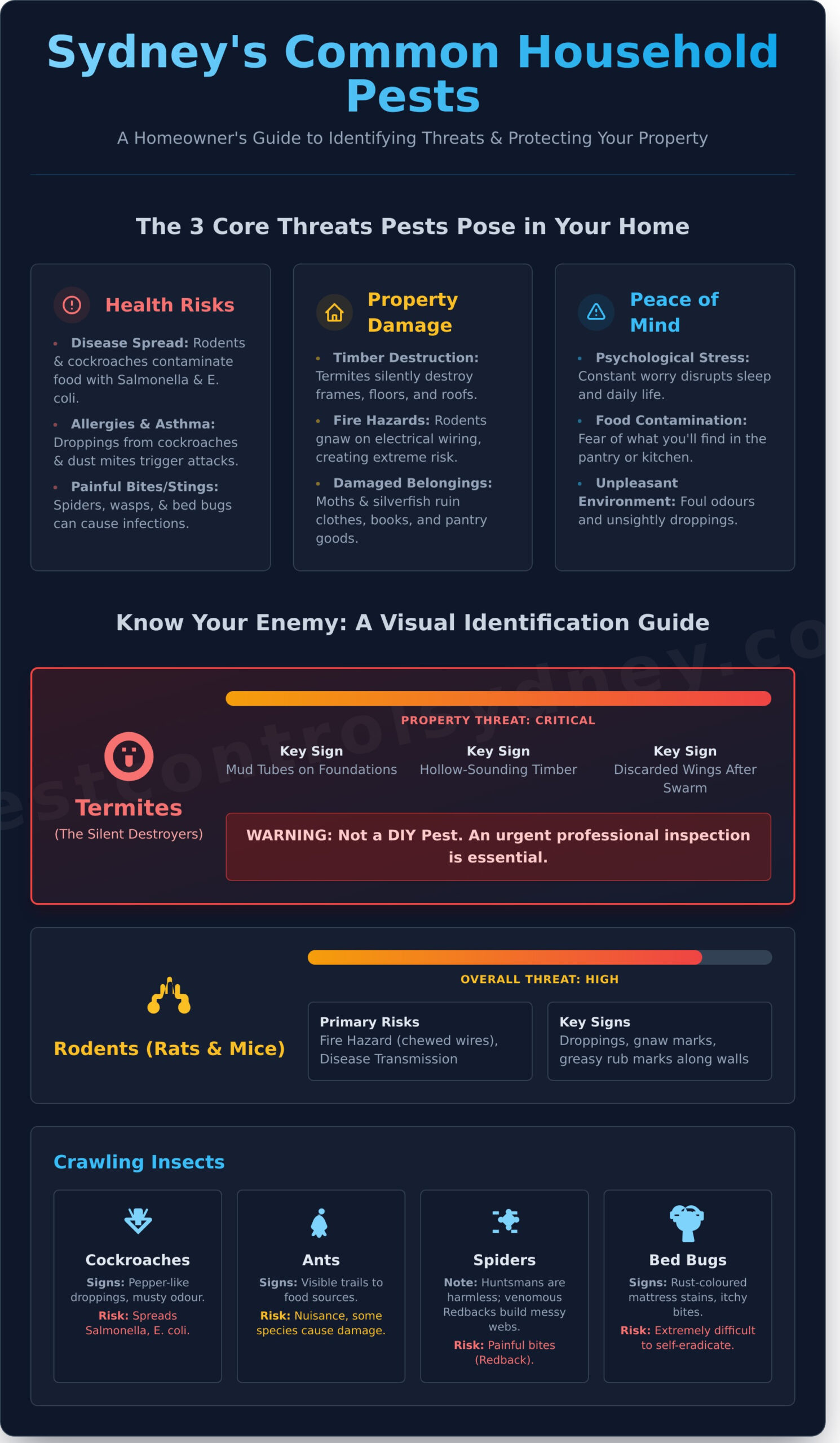 What is a Pest? A Guide to Common Pests in Sydney - Infographic