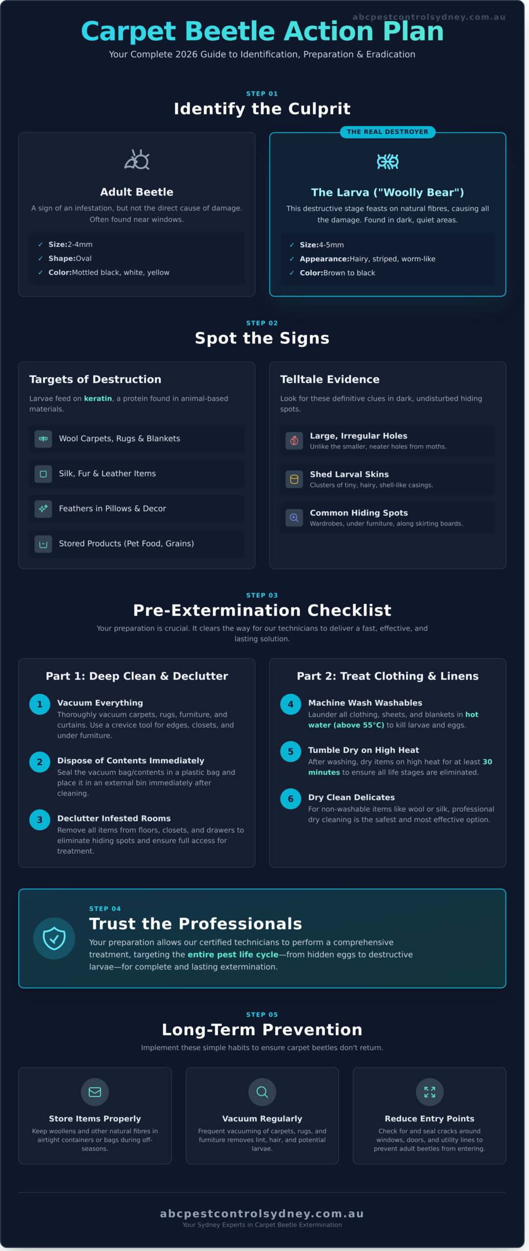 Carpet Beetle Extermination Sydney: Your Complete 2026 Guide - Infographic