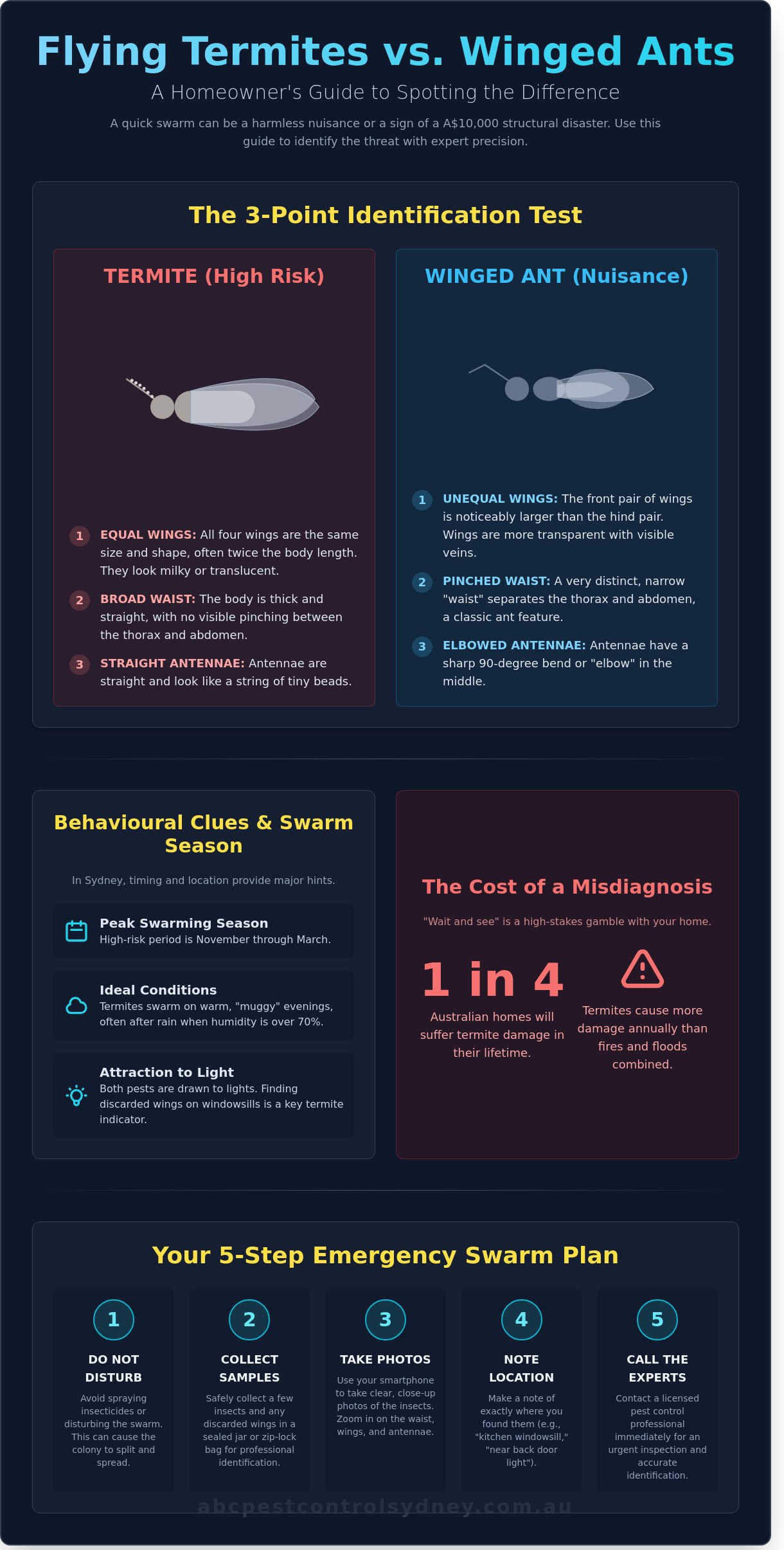 Flying Termites vs Ants with Wings: How to Tell the Difference - Infographic