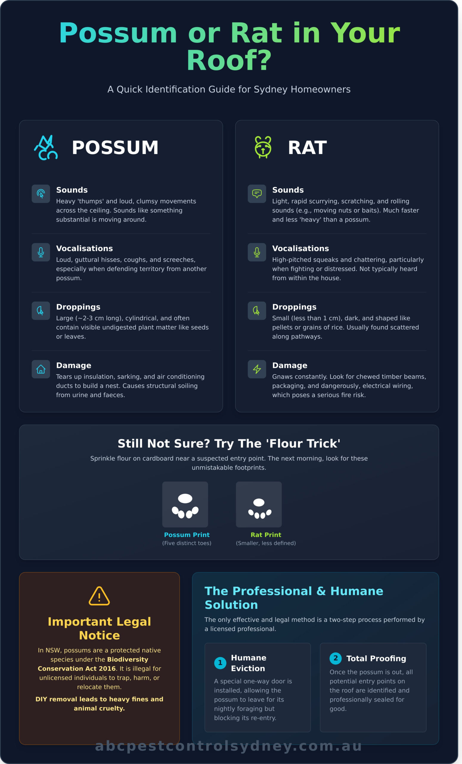 Possum Removal From Roof Sydney: The Complete Guide (2026) - Infographic
