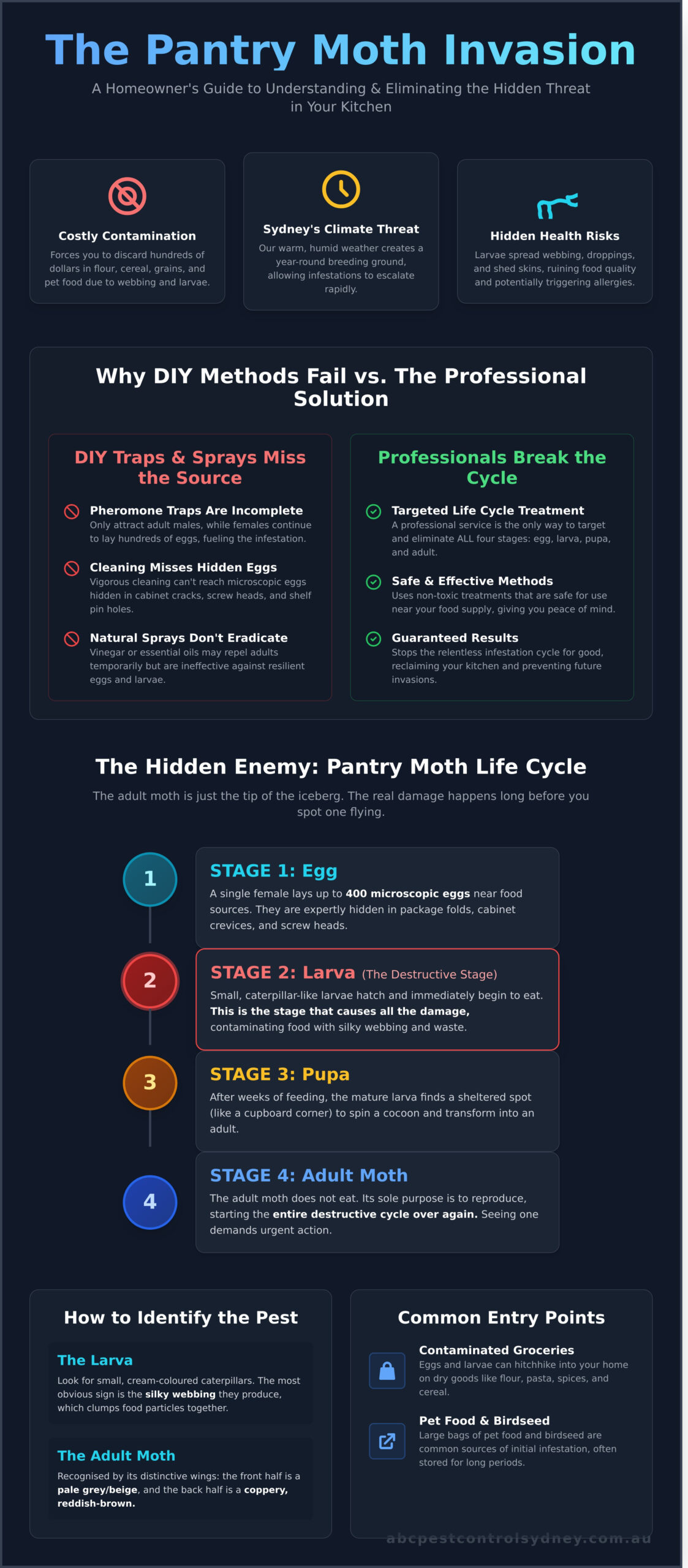 Professional Pantry Moth Removal Service Sydney: Get Rid of Kitchen Pests Fast - Infographic
