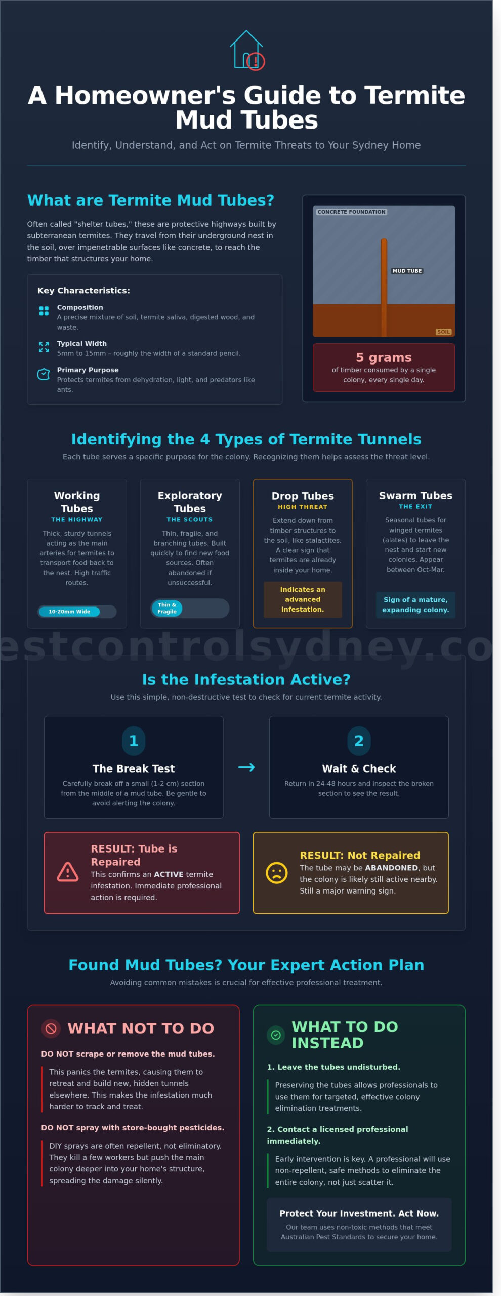 Termite Mud Tubes on Concrete: Identification and Urgent Next Steps for Sydney Homeowners - Infographic