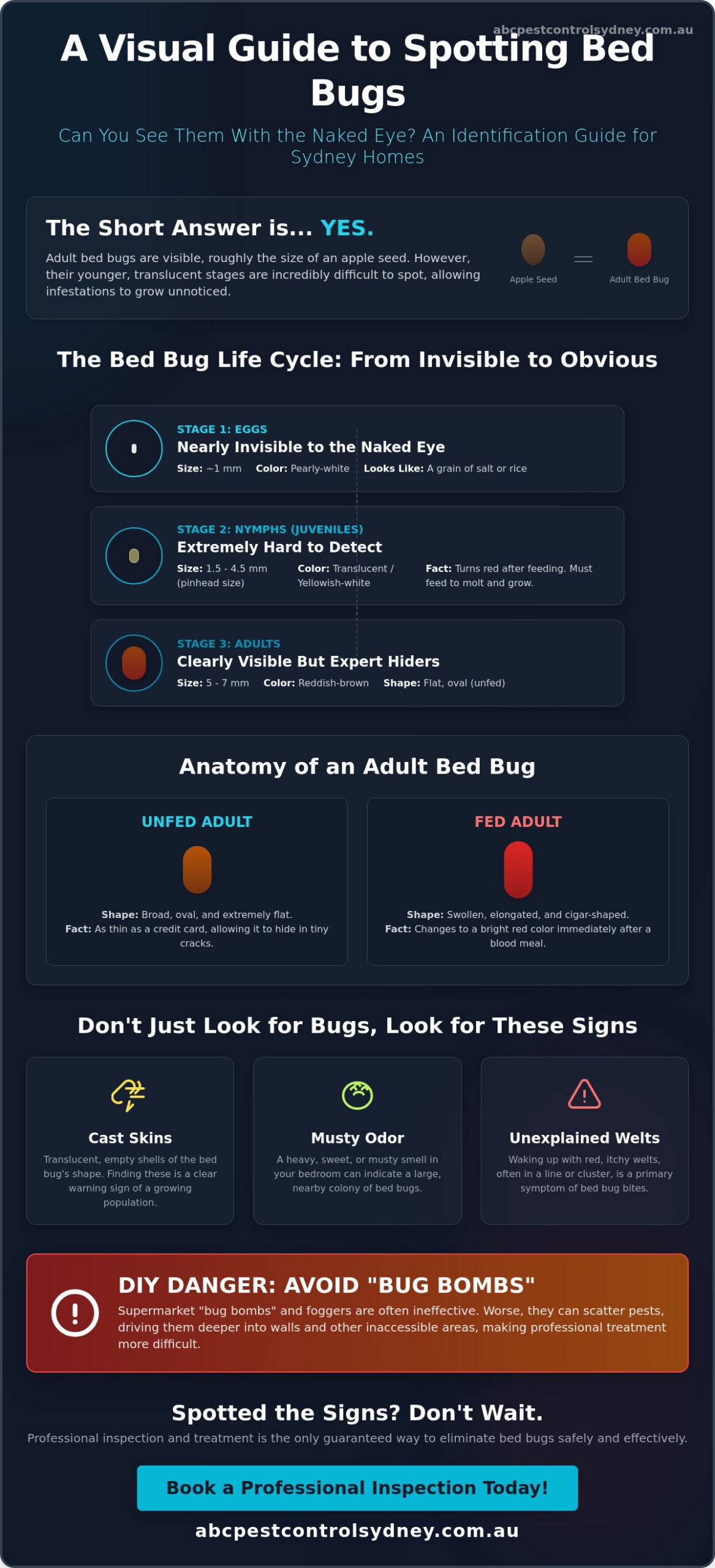 Can You See Bed Bugs with the Naked Eye? Identification Guide 2026 - Infographic