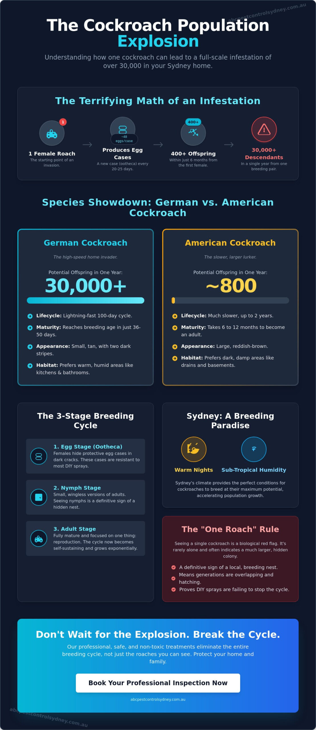 How Fast Do Cockroaches Multiply? The Alarming Truth for Sydney Homeowners - Infographic