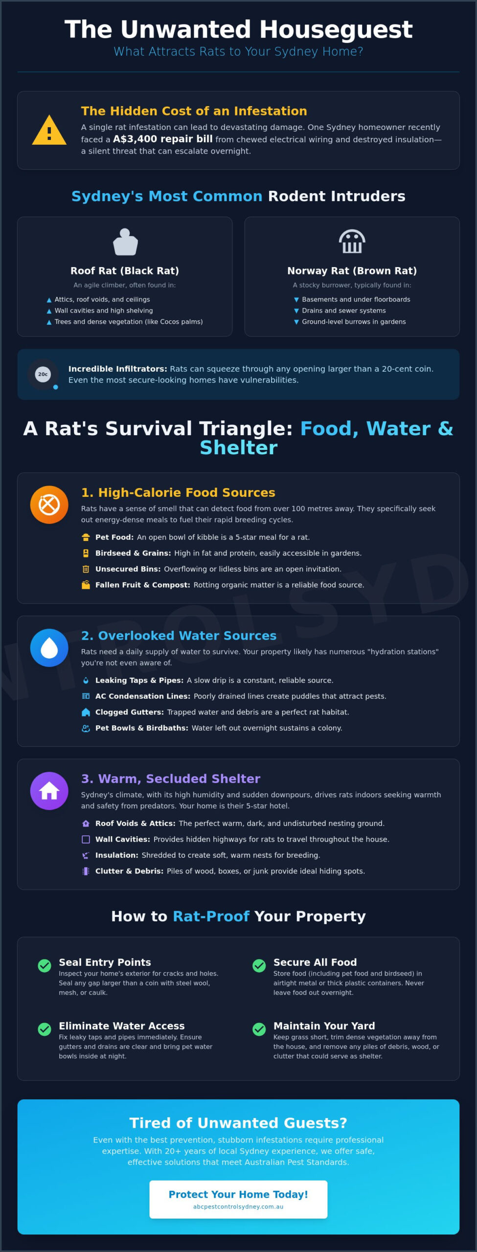 What Attracts Rats to Your House? 9 Hidden Reasons for Sydney Infestations - Infographic
