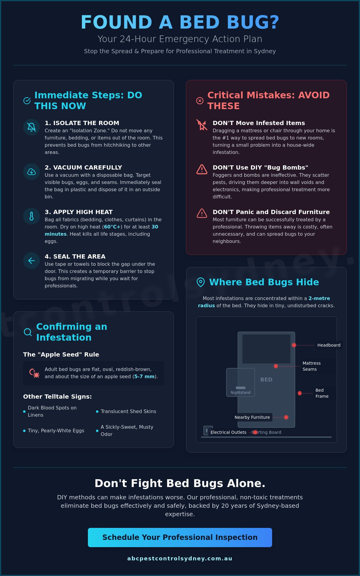 What to Do After Finding Bed Bugs: A Sydney Homeowner’s 24-Hour Action Plan - Infographic