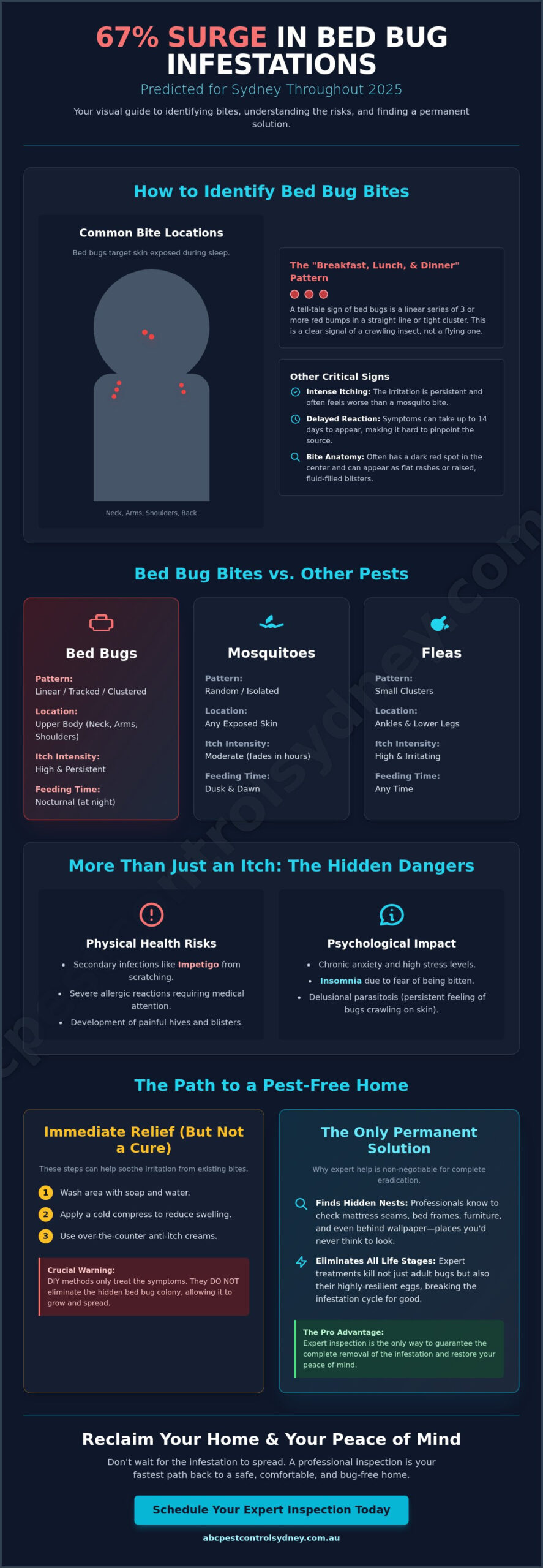 Bed Bug Bites: Identification, Treatment, and Eradication in Sydney - Infographic