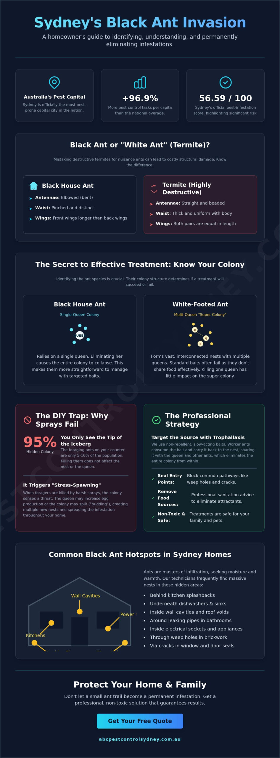 Black Ant Infestation in House: The Sydney Homeowner’s 2026 Guide - Infographic