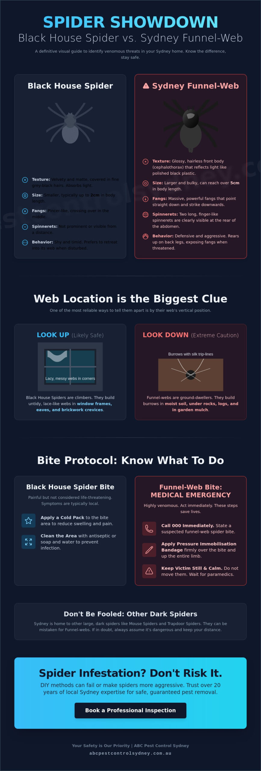 Black House Spider vs Funnel Web: How to Tell the Difference in Sydney (2026) - Infographic