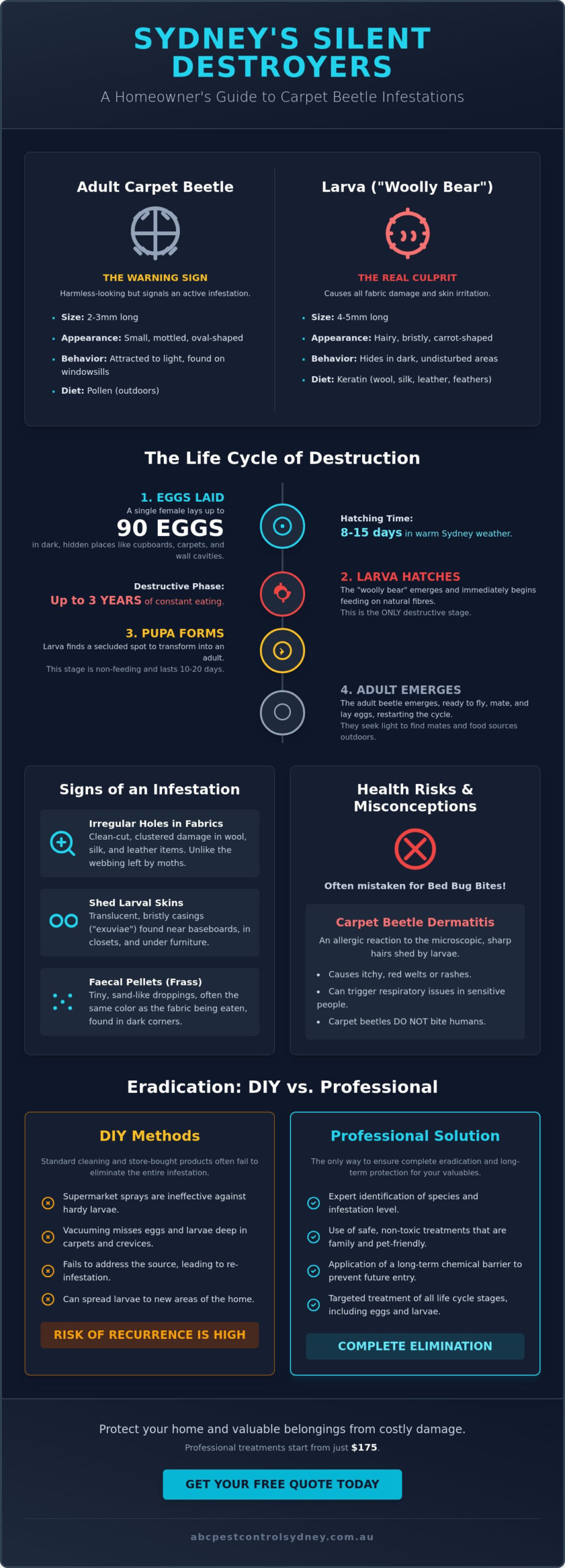 Carpet Beetles Sydney: Identification, Removal & Prevention Guide 2026 - Infographic