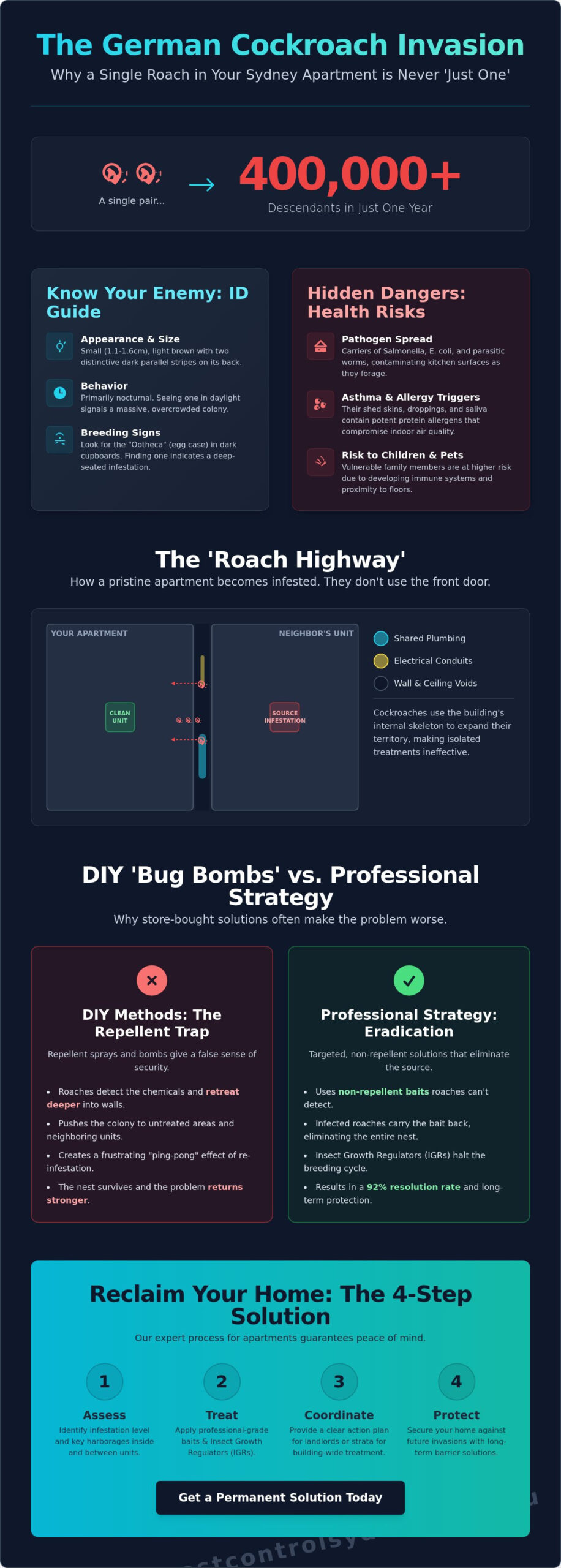 German Cockroaches in Apartments: The Ultimate Sydney Extermination Guide - Infographic