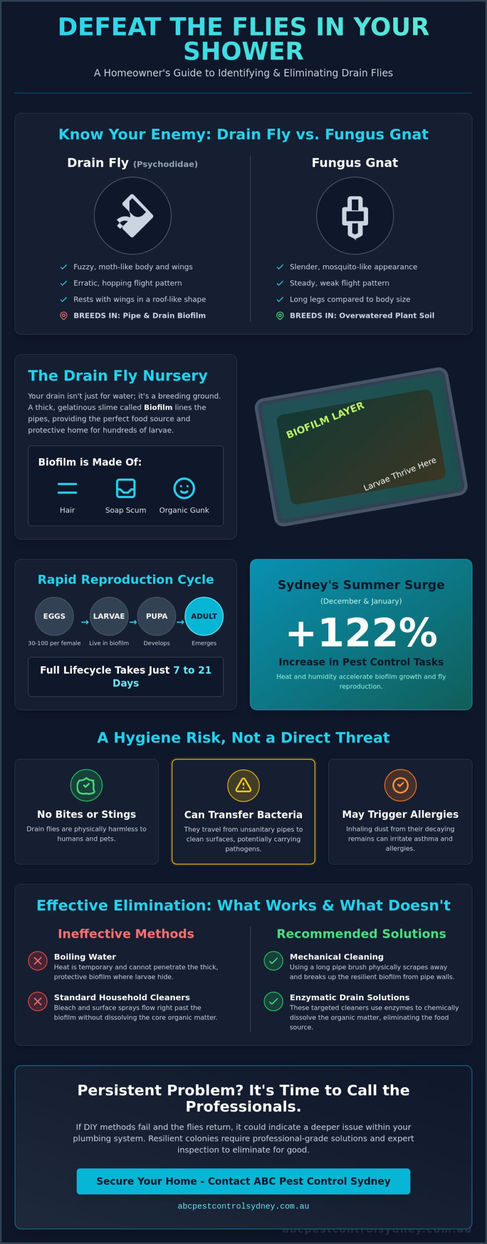 Little Black Flies in the Shower? How to Identify and Get Rid of Drain Flies in Sydney (2026) - Infographic