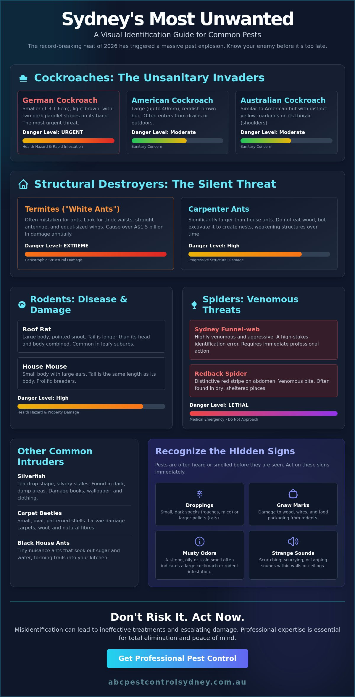 Pest Identification Sydney: What Is This Bug in My Home? - Infographic