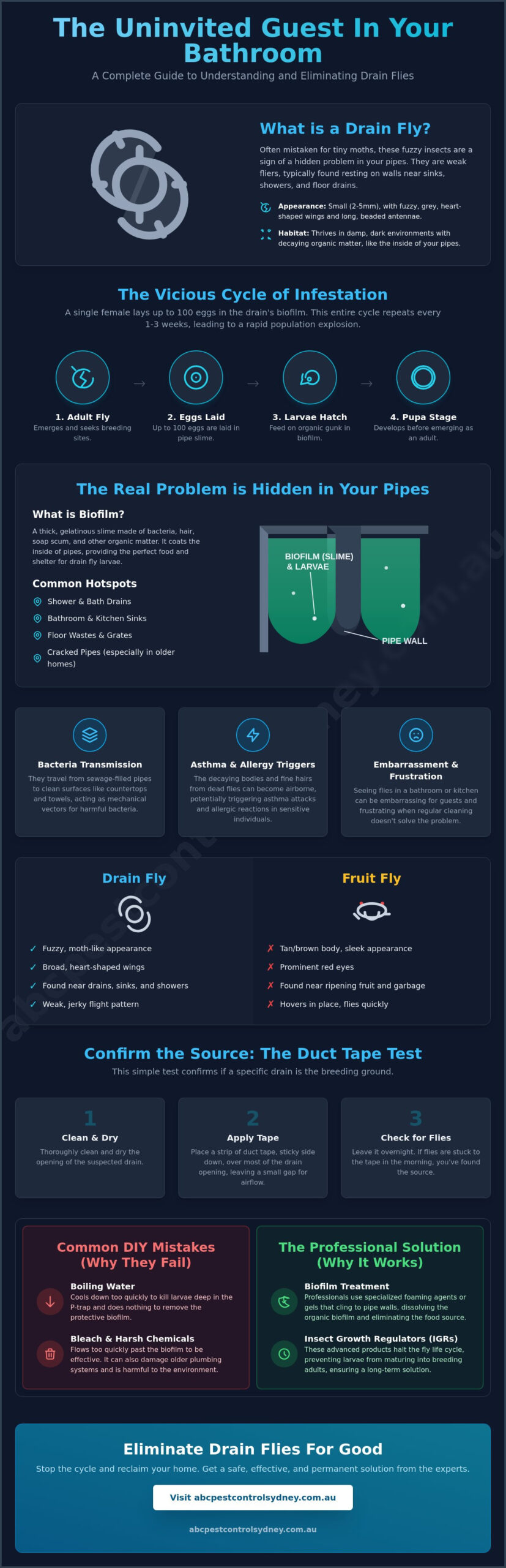 Small Fuzzy Flies in Your Sydney Drains? How to Get Rid of Drain Flies for Good - Infographic
