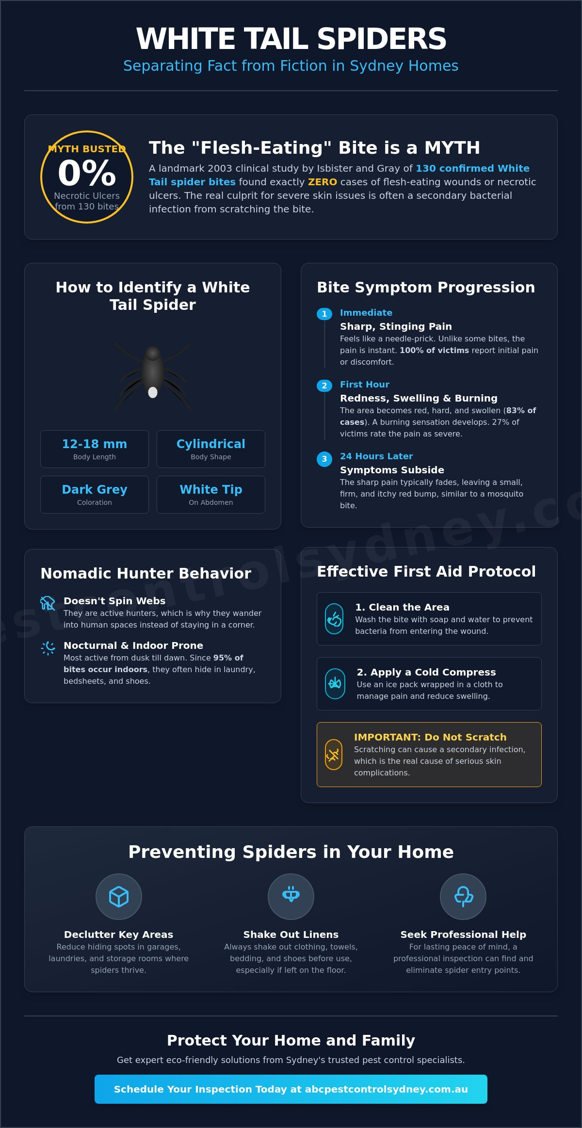 White Tail Spider Bite Symptoms: A Sydney Homeowner’s Guide (2026) - Infographic
