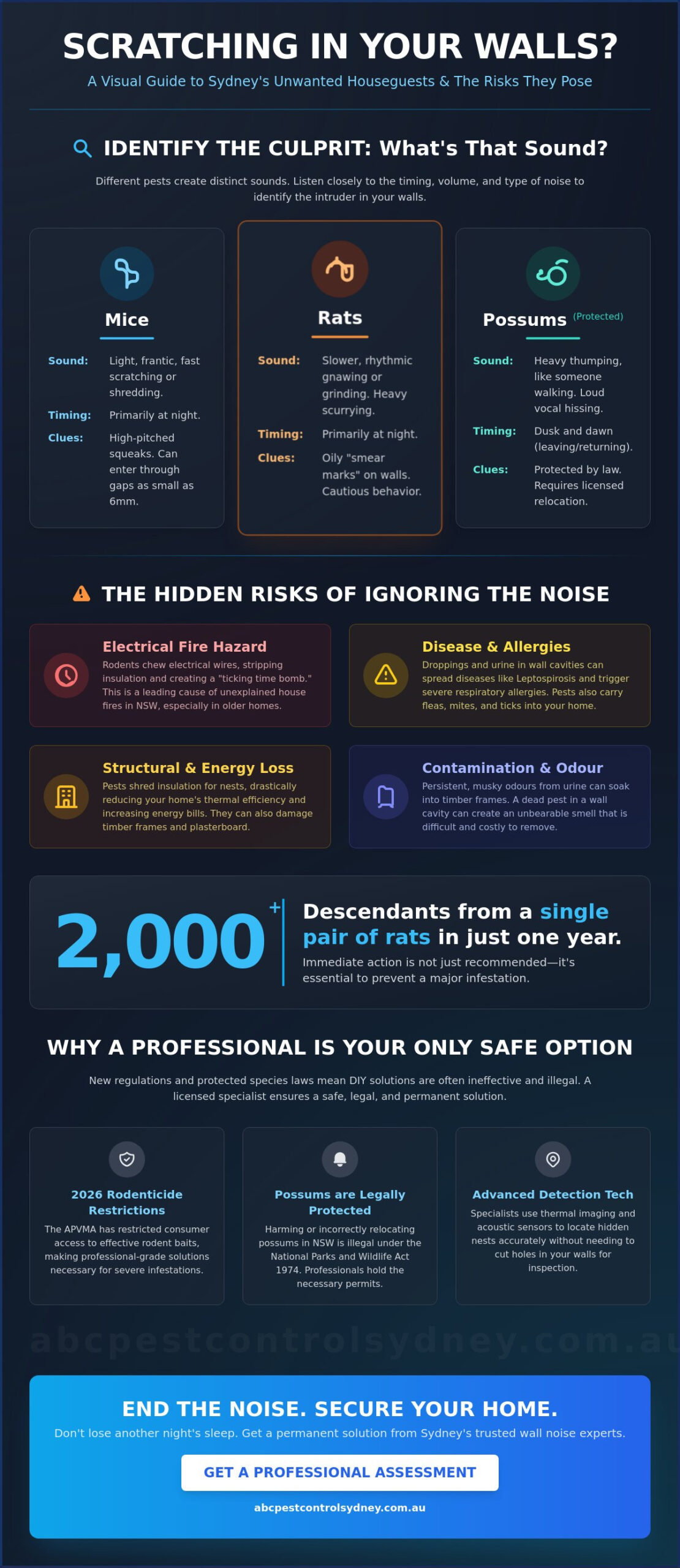 Who to Call for Scratching in Walls in Sydney: A Homeowner’s 2026 Guide - Infographic