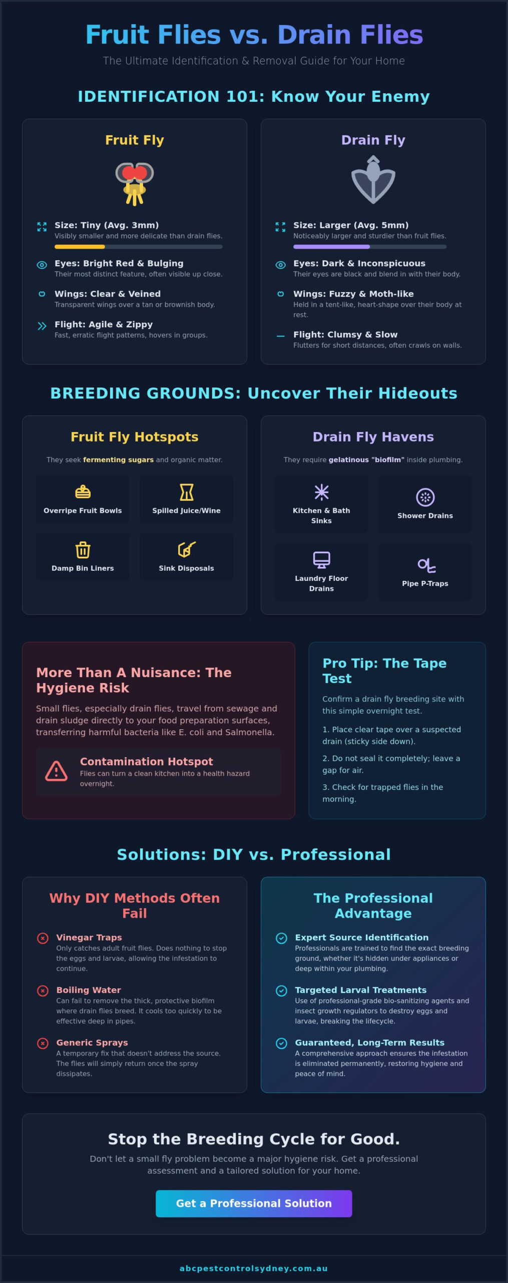 Fruit Flies vs Drain Flies: The Sydney Homeowner’s Identification Guide (2026) - Infographic