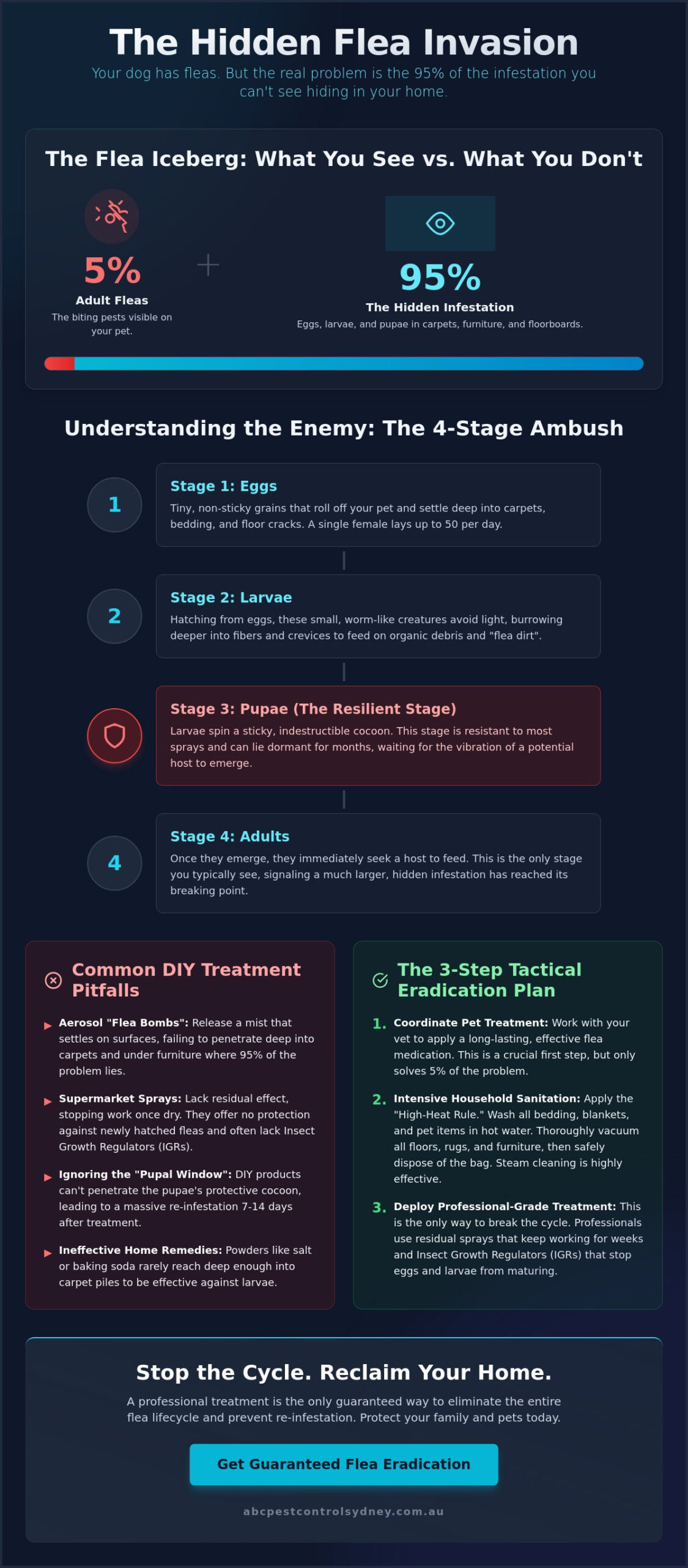 My Dog Has Fleas: How Do I Treat My House? A Sydney Pro’s Guide - Infographic