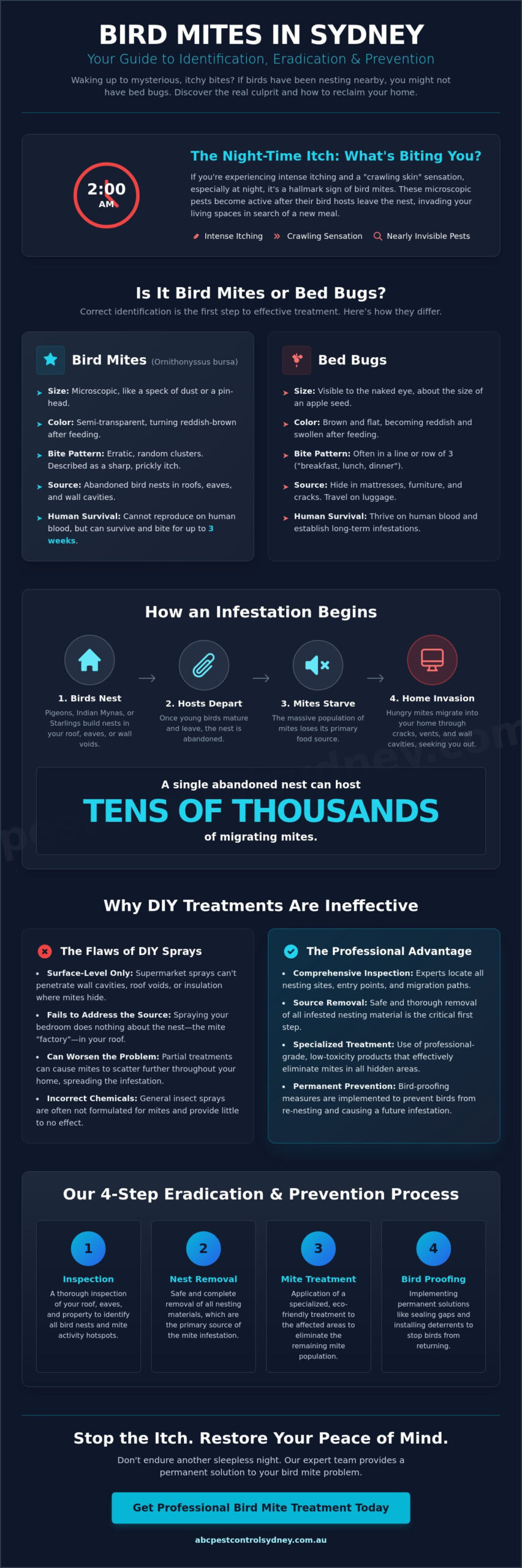 Professional Bird Lice Treatment for Houses in Sydney: 2026 Guide - Infographic