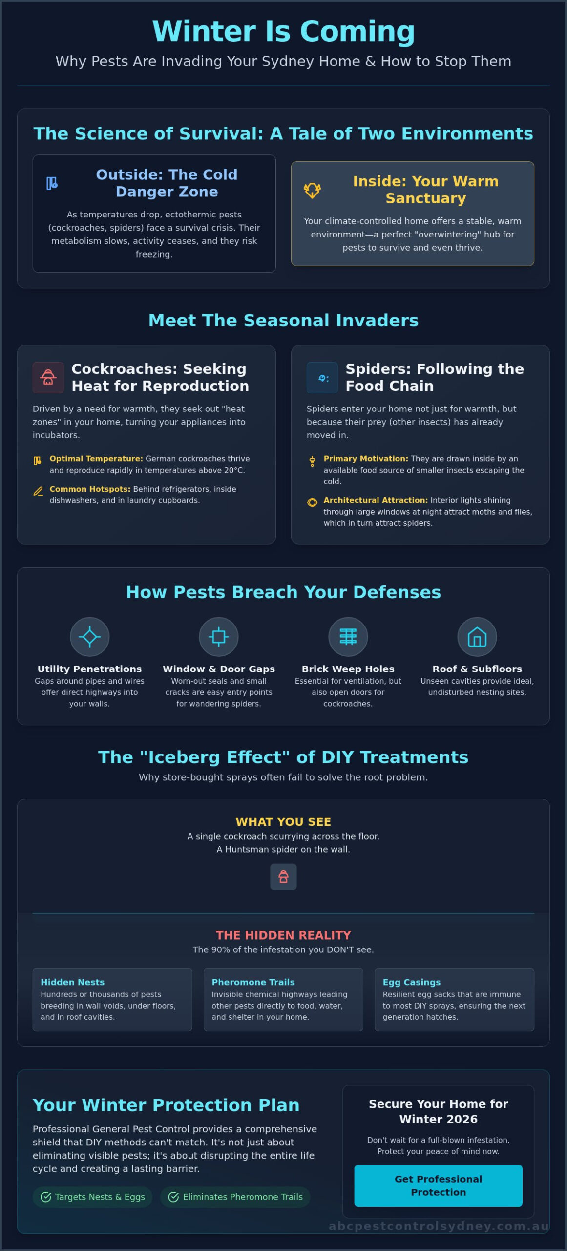 Protect Your Sydney Home from Winter Cockroaches & Spiders - Infographic