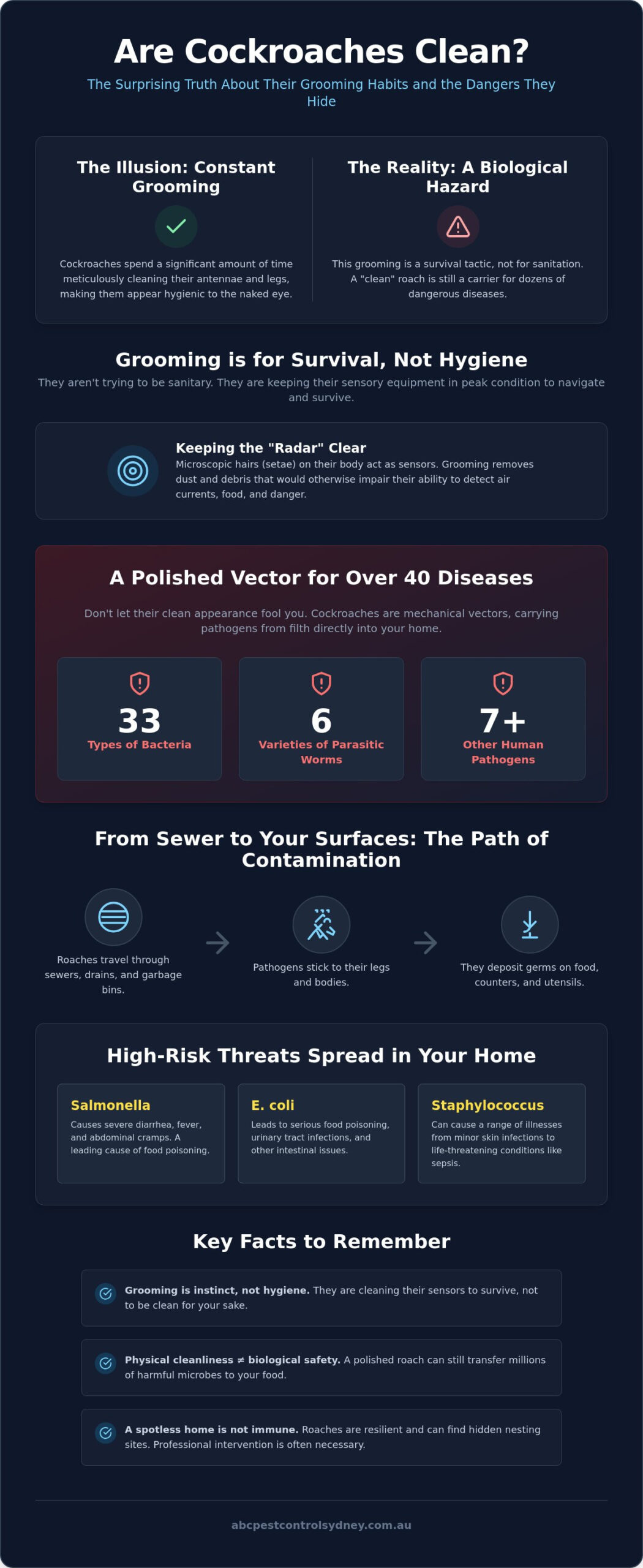 Are Cockroaches Clean? The Truth About Pest Hygiene - Infographic