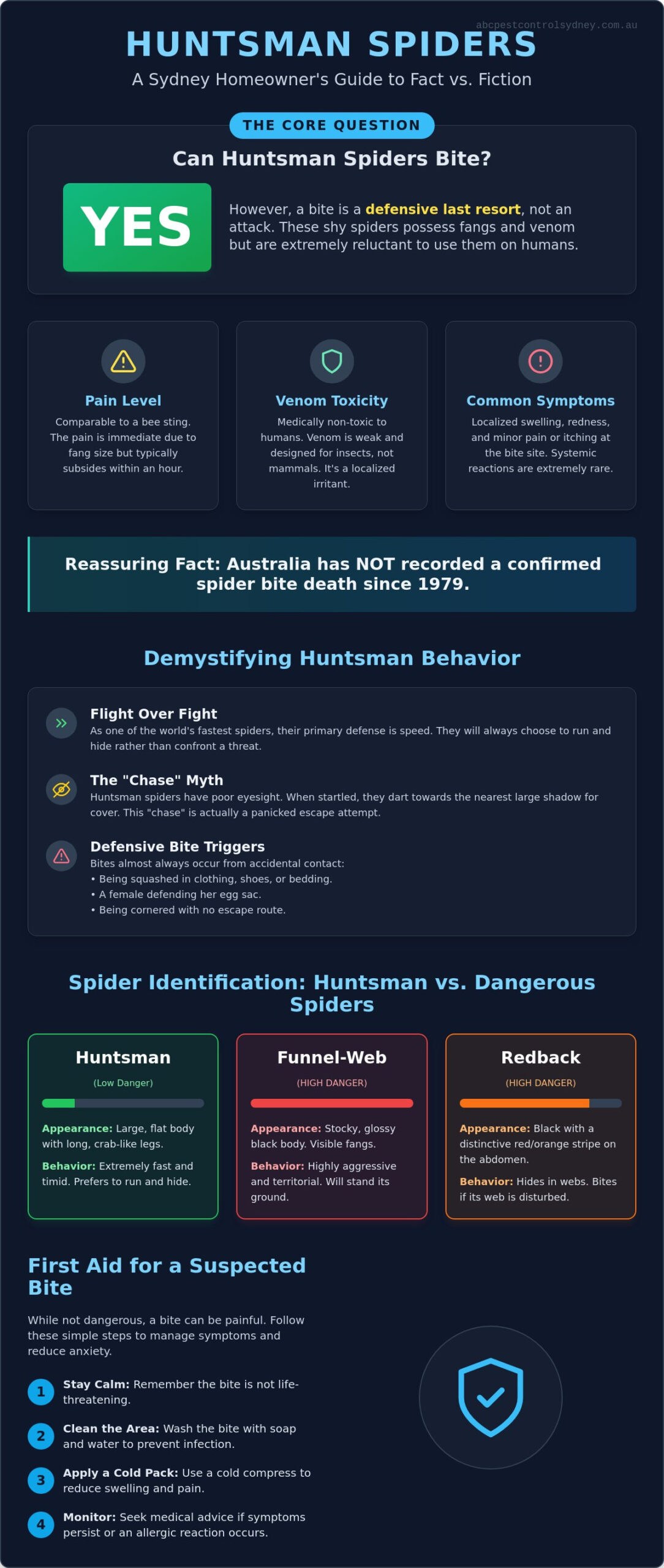 Can Huntsman Spiders Bite? Essential Safety Guide - Infographic