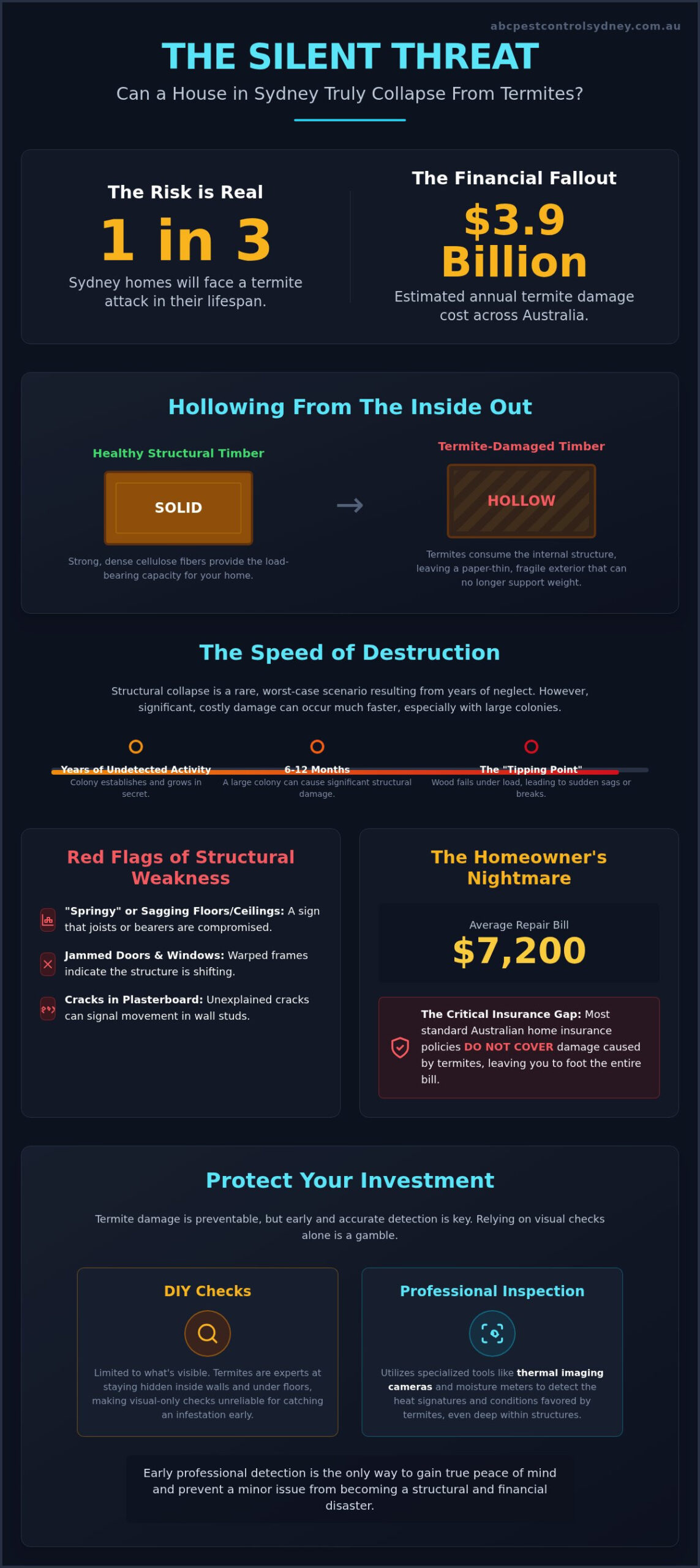 Can a House Collapse from Termites? The Truth About Structural Damage - Infographic