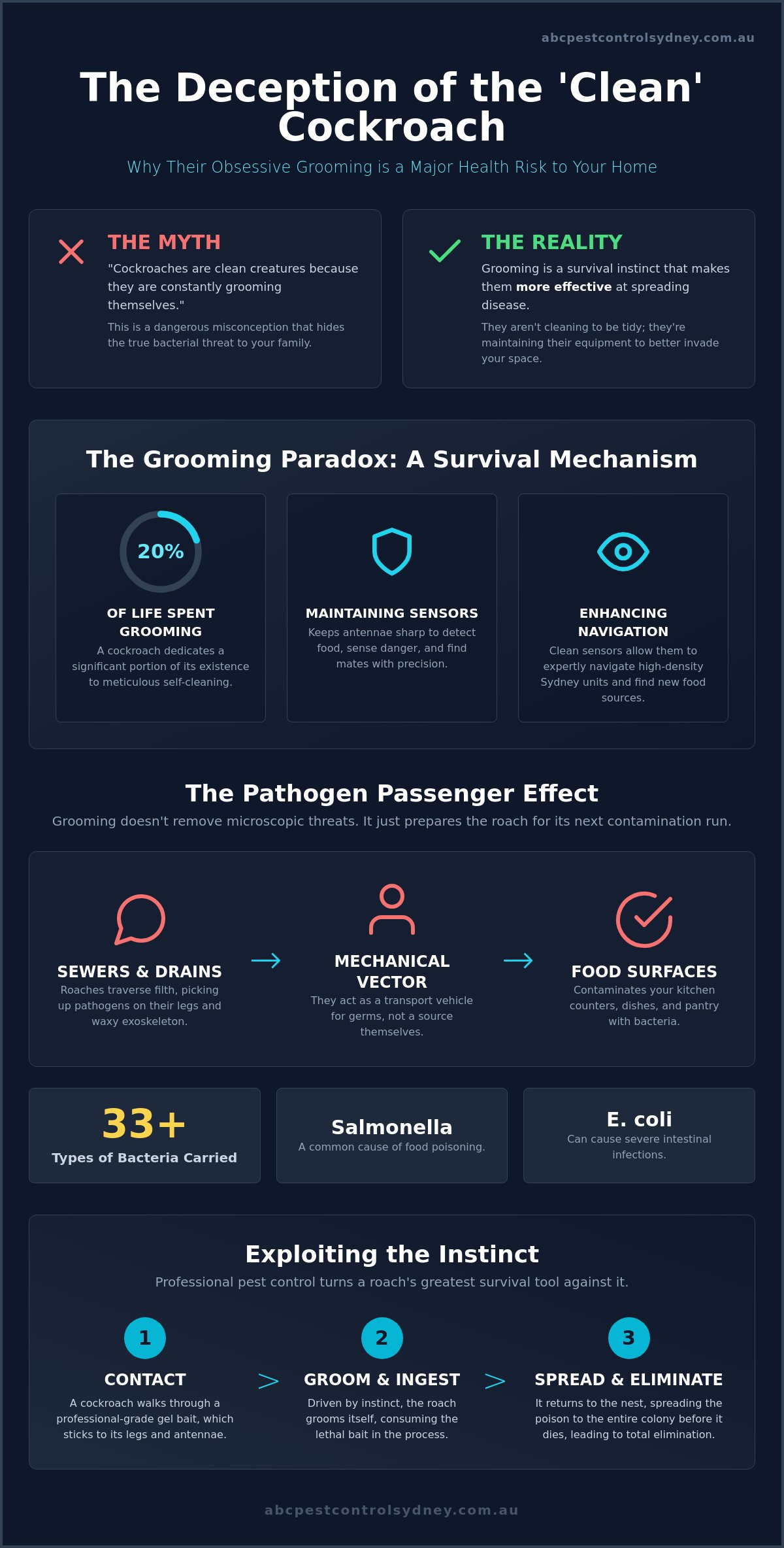 How to Expertly Clean Your Sydney Home After Cockroaches - Infographic