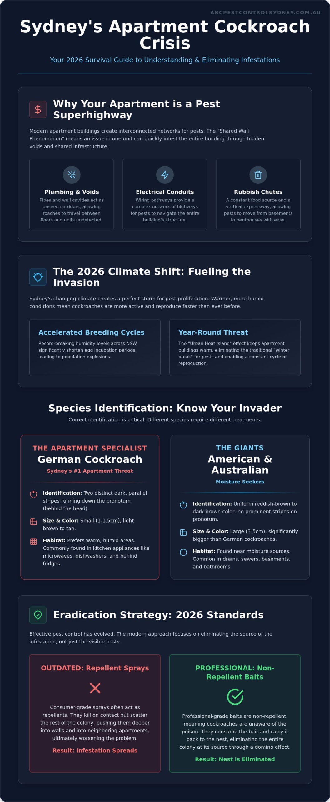 Identify and Stop Sydney Apartment Cockroaches Fast - Infographic