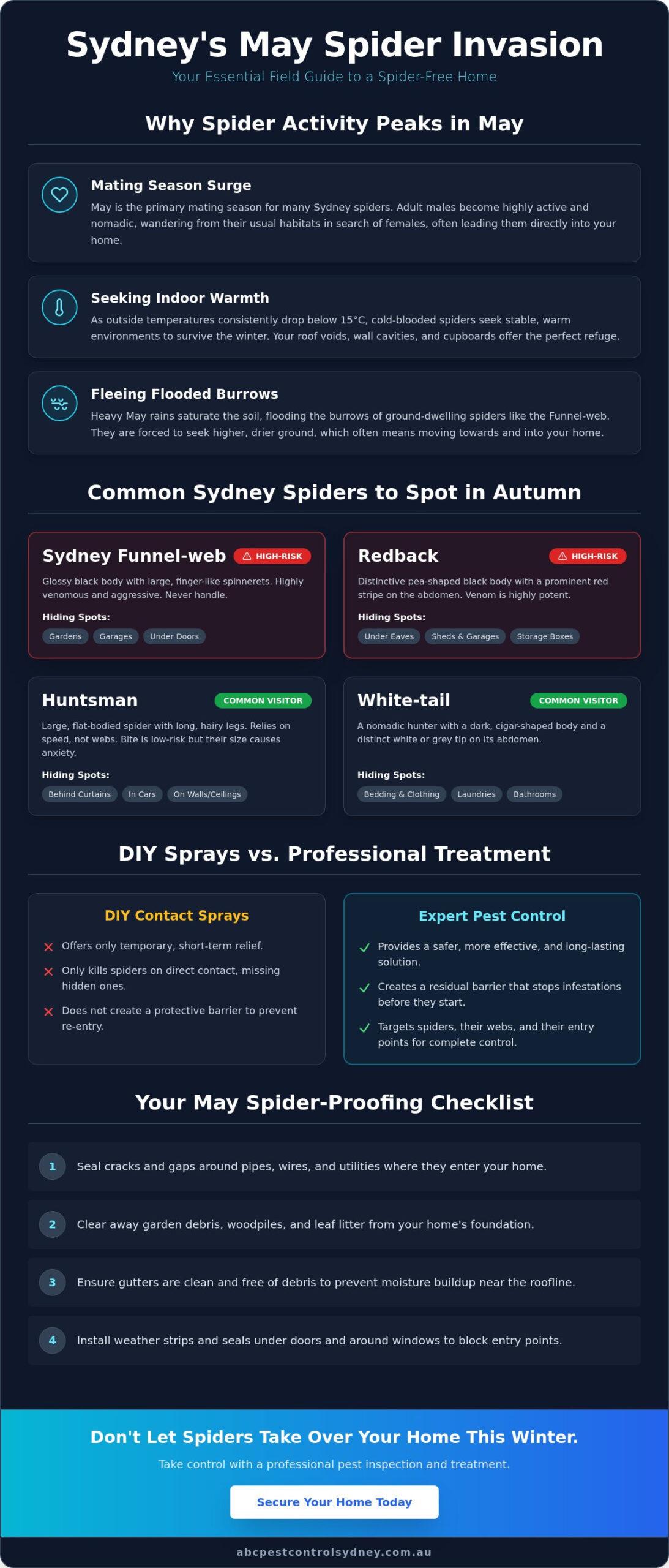 Sydney Spider Control Guide: Essential Expert Tips - Infographic