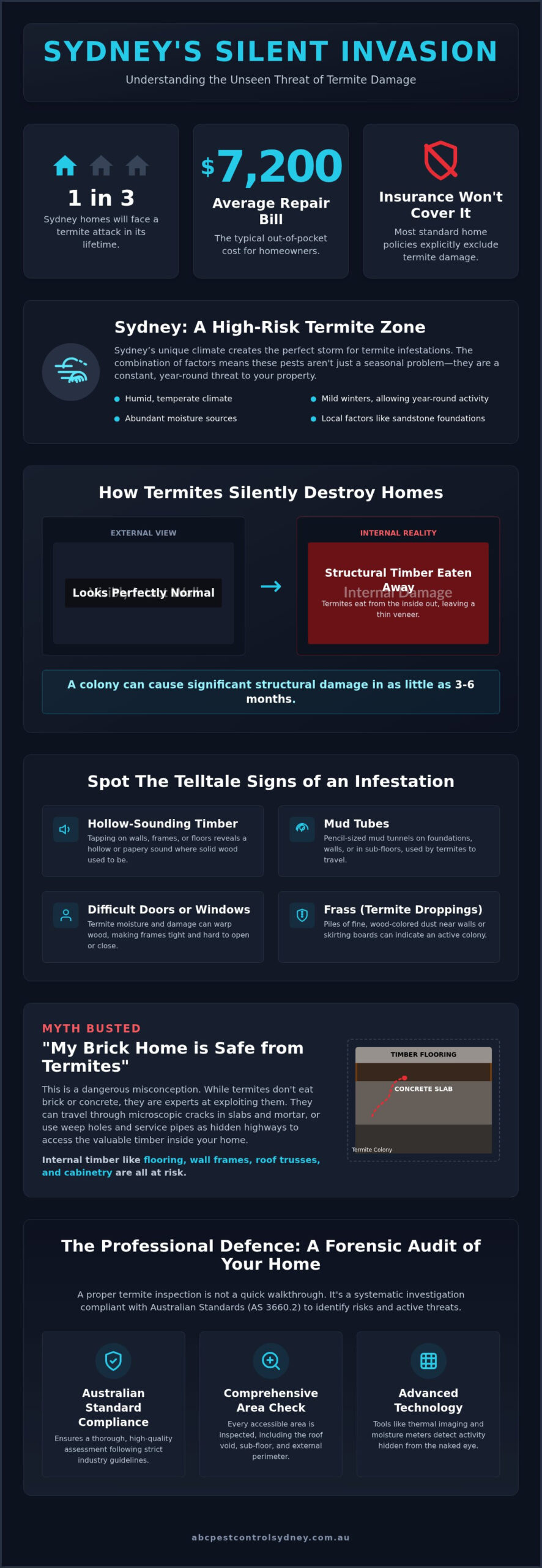Termite Damage Inspection Sydney: Protect Your Property in 2026 - Infographic