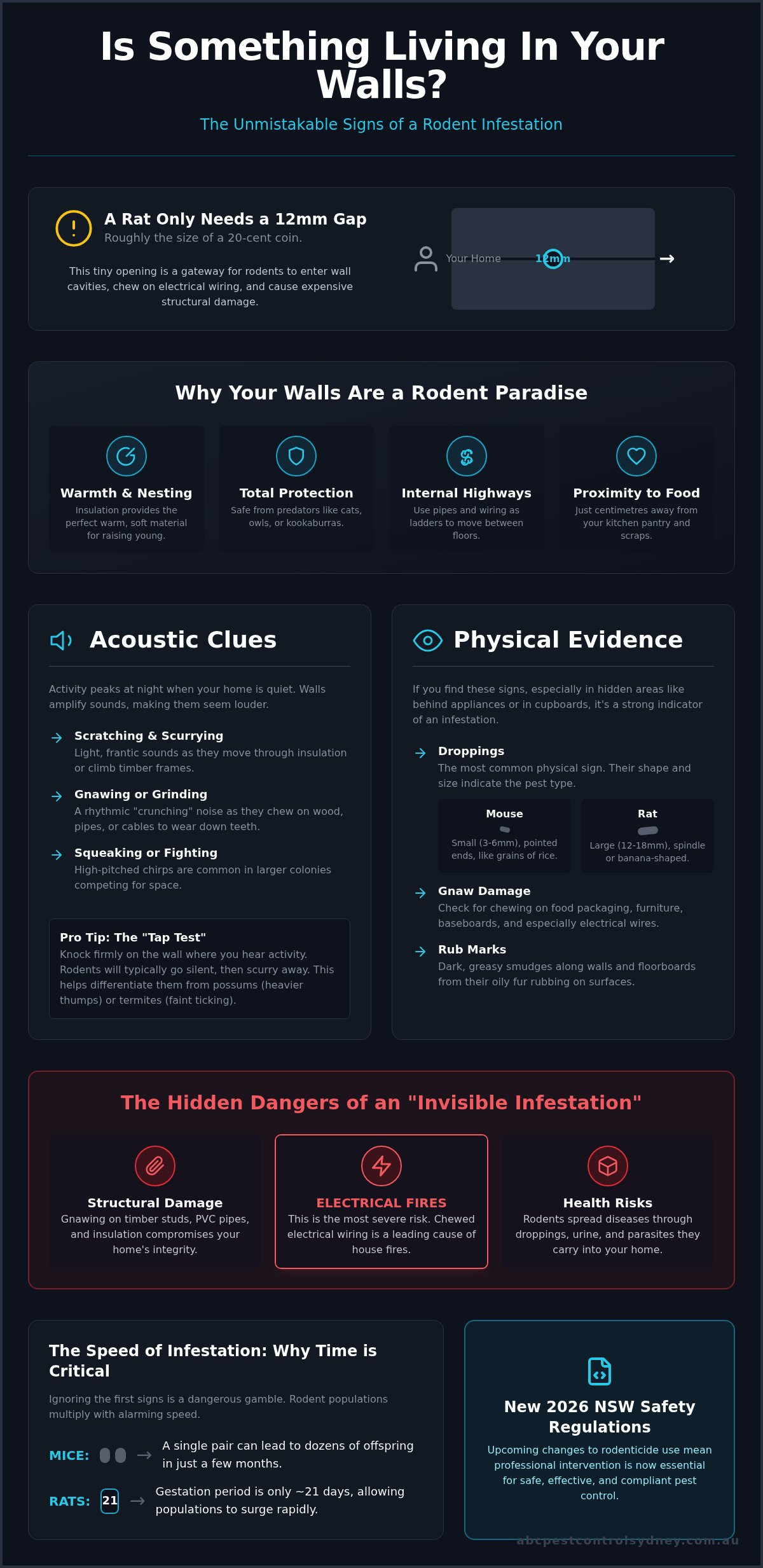 7 Clear Signs of Rodents in Walls: A Sydney Homeowner’s Guide - Infographic