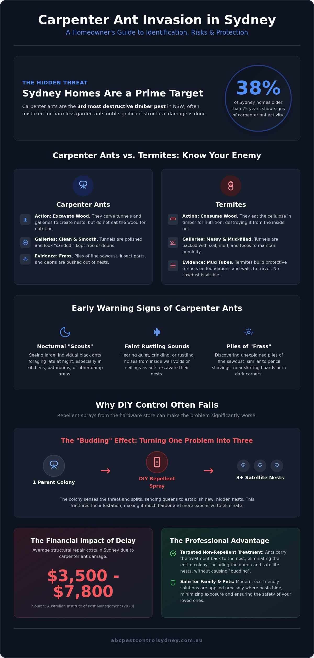 Carpenter Ant Control Sydney: Protecting Your Home from Structural Damage - Infographic